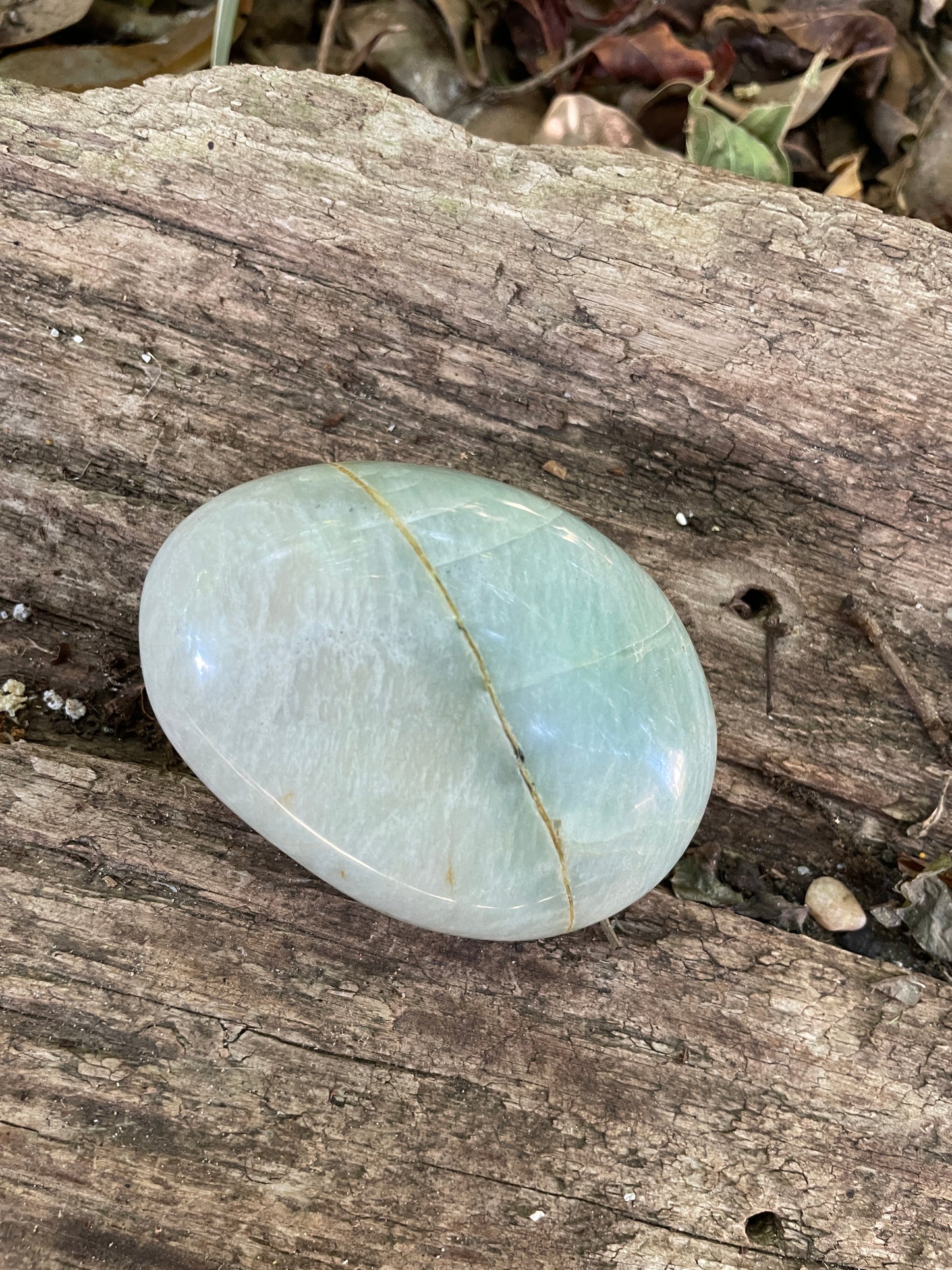 Polished Green Garnierite Palm Stone 180.7g From Madagascar Specimen Mineral Crystal