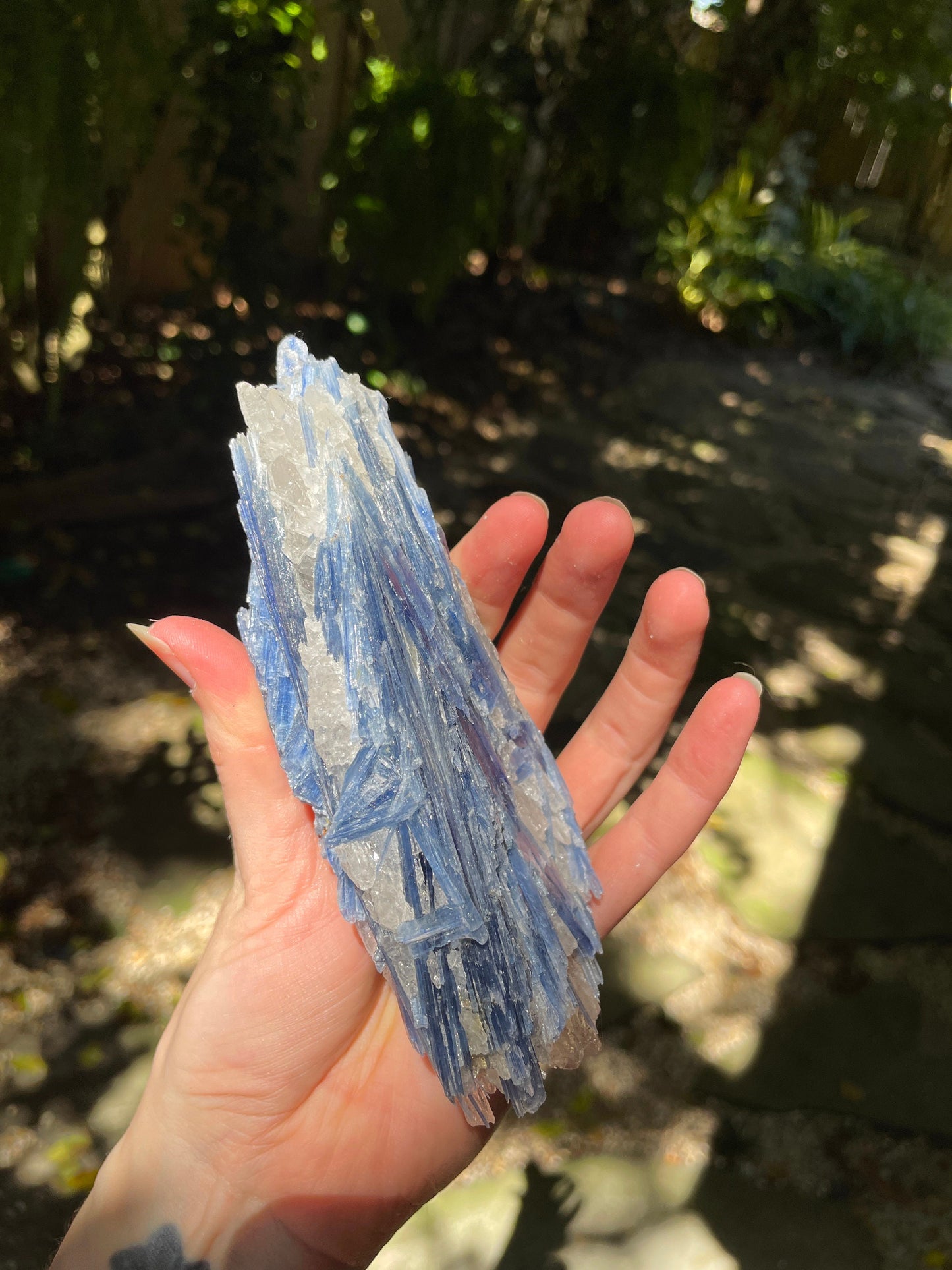 Blue Kyanite With Quartz Specimen 570g From Minas Gerais Brazil Specimen Mineral