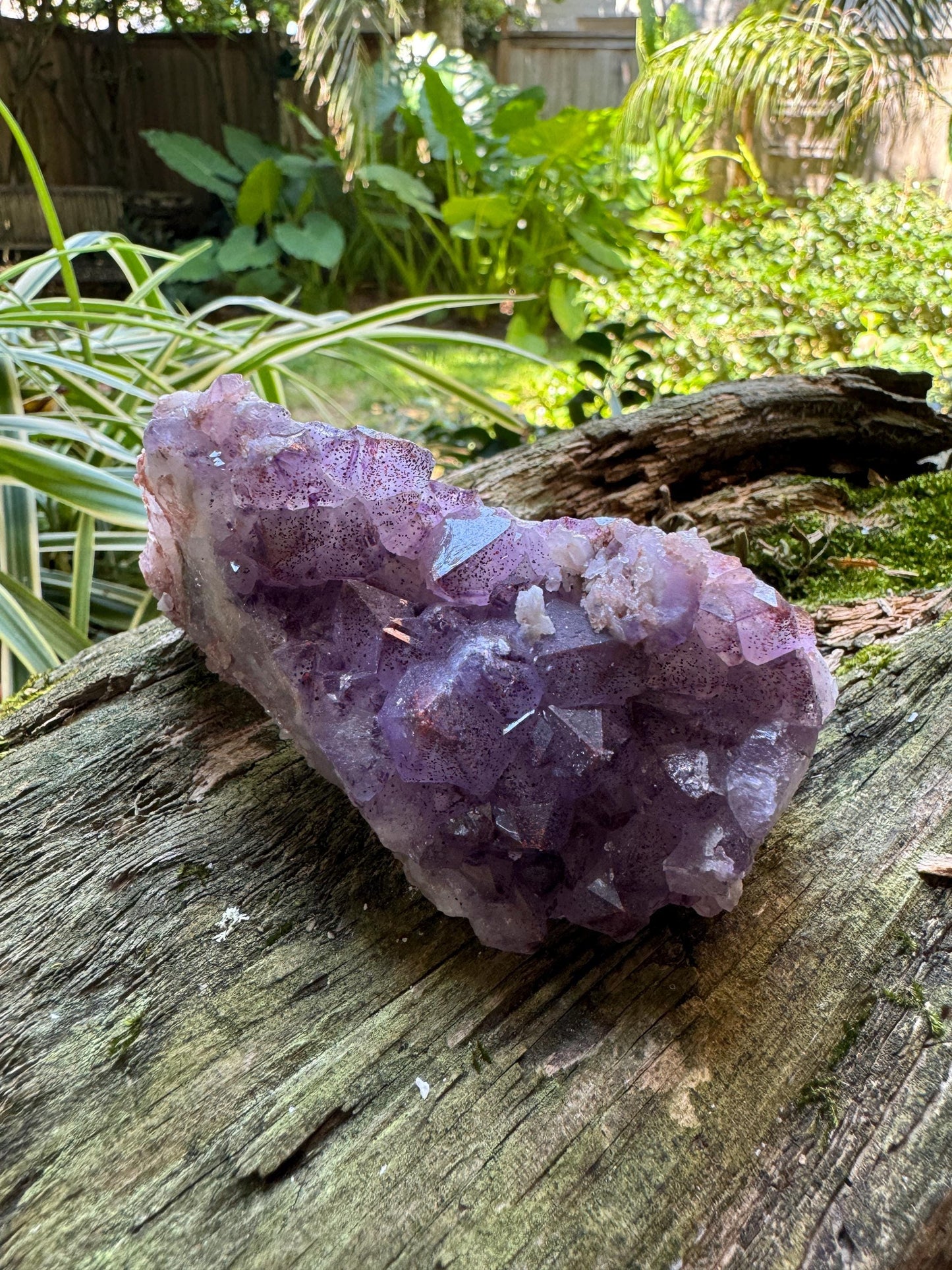 Thunder Bay Amethyst Ontario Canada 217.7g Specimen Amethyst with Hematite Mineral Crystal