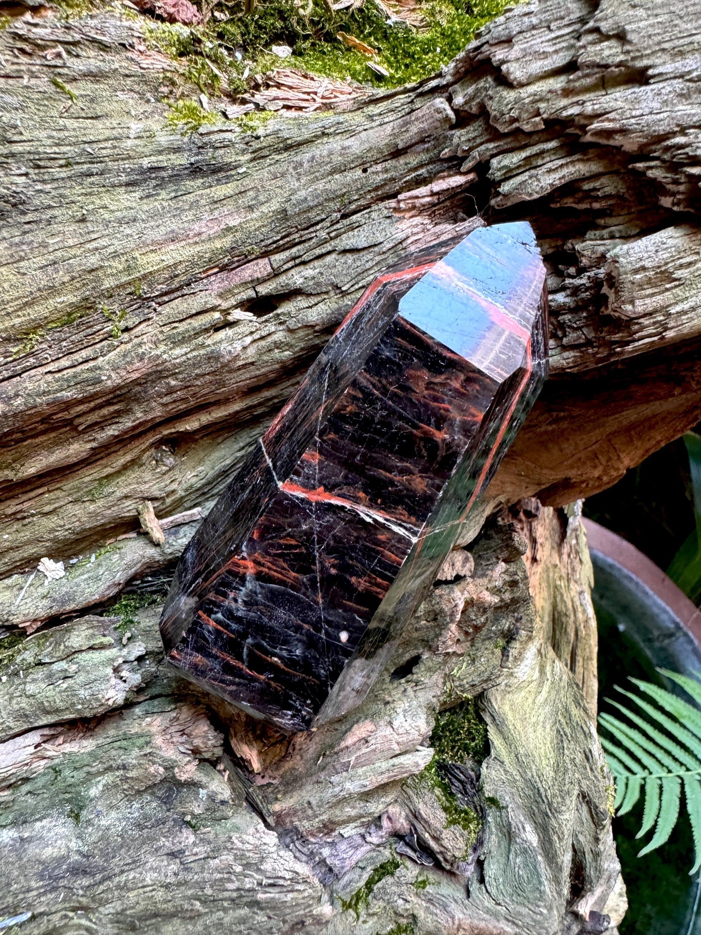 Tourmaline with Hematite Inclusions 265.5g Polished Point Specimen From Brazil