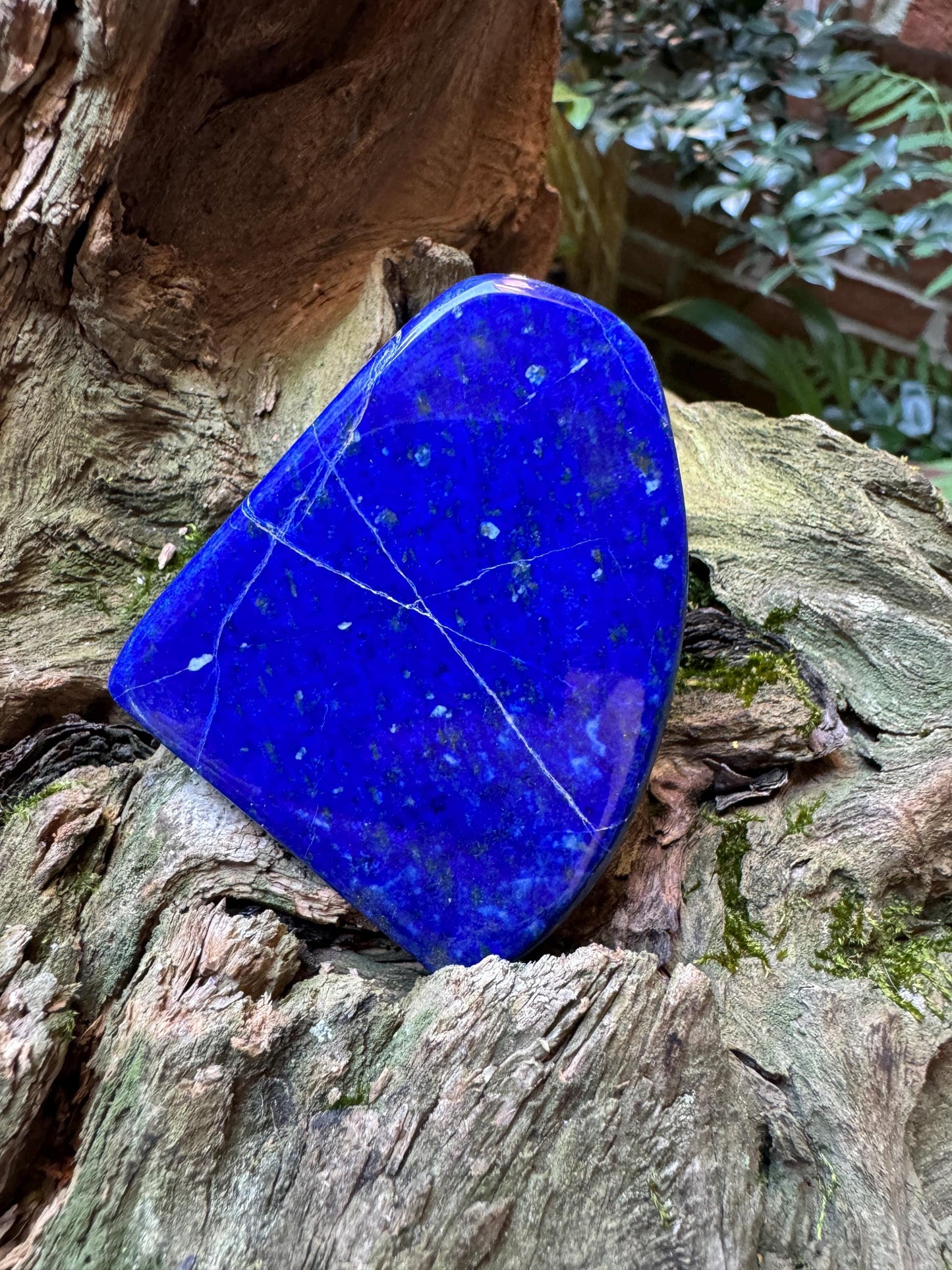 Polished Lapis Lazuli Freestanding Specimen 144g From Afghanistan Display
