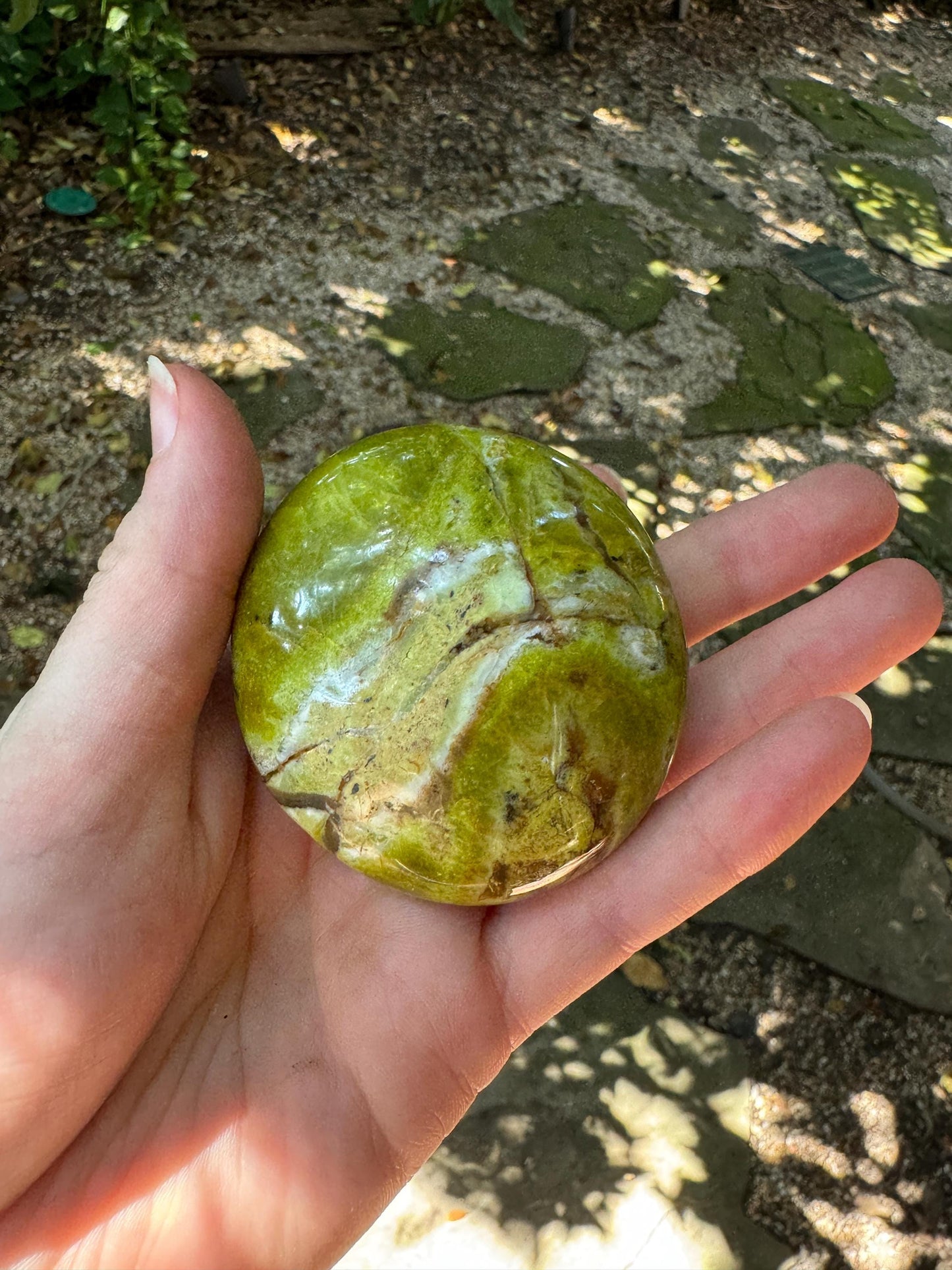 Polished Green Opal Palm Stone From Madagascar, Specimen 139.6g Mineral Crystal