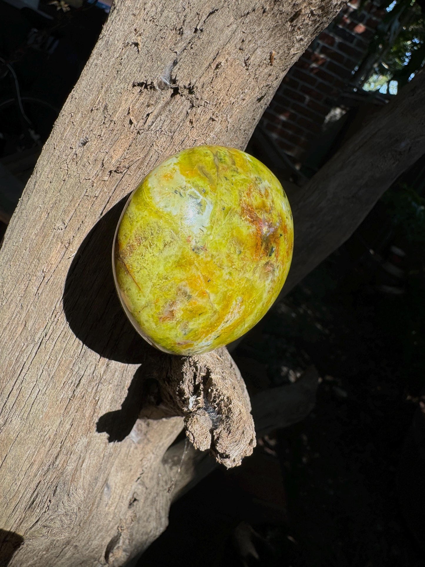 Polished Green Opal Palm Stone From Madagascar, Specimen 139.6g Mineral Crystal