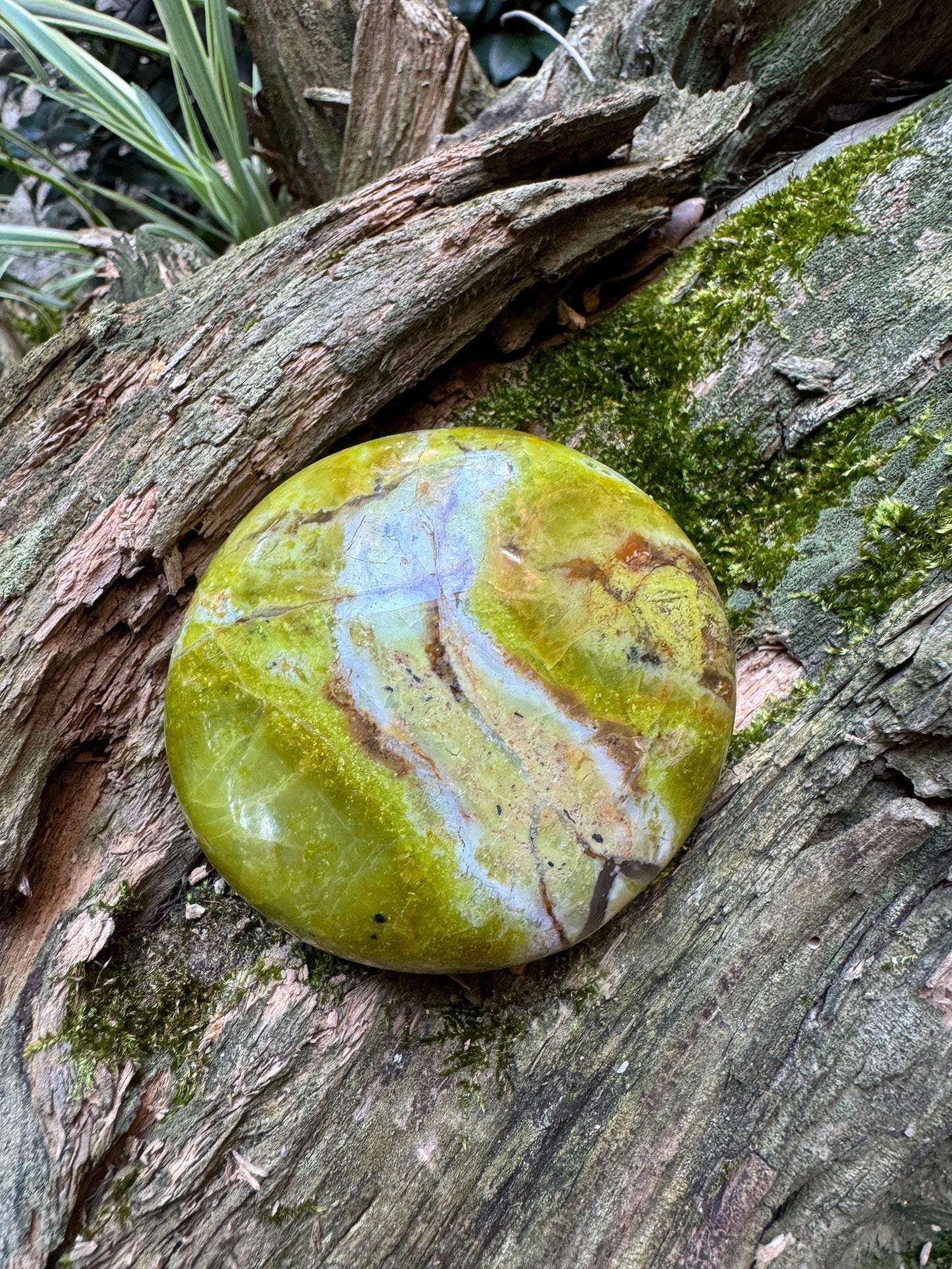 Polished Green Opal Palm Stone From Madagascar, Specimen 139.6g Mineral Crystal
