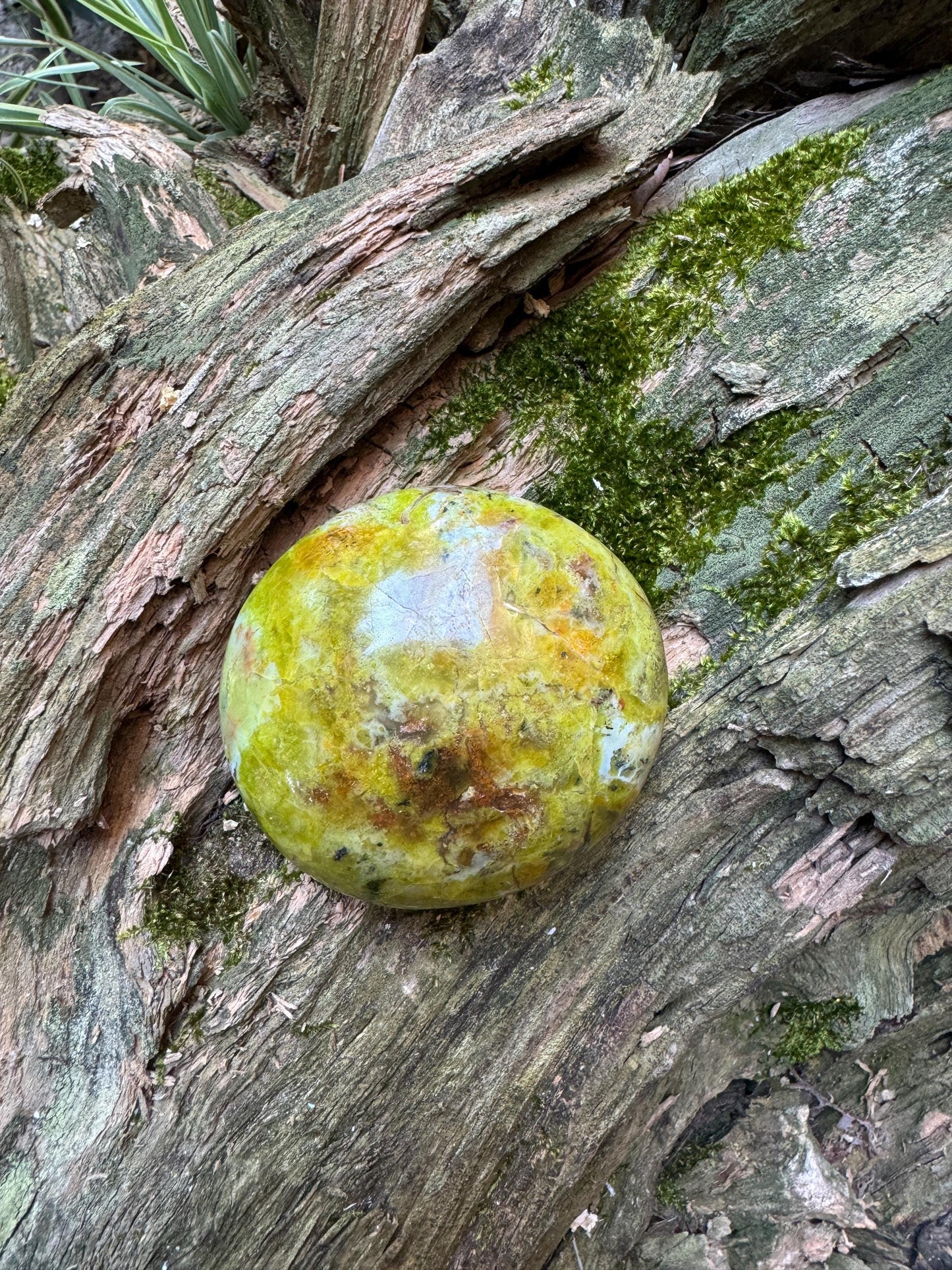 Polished Green Opal Palm Stone From Madagascar, Specimen 139.6g Mineral Crystal