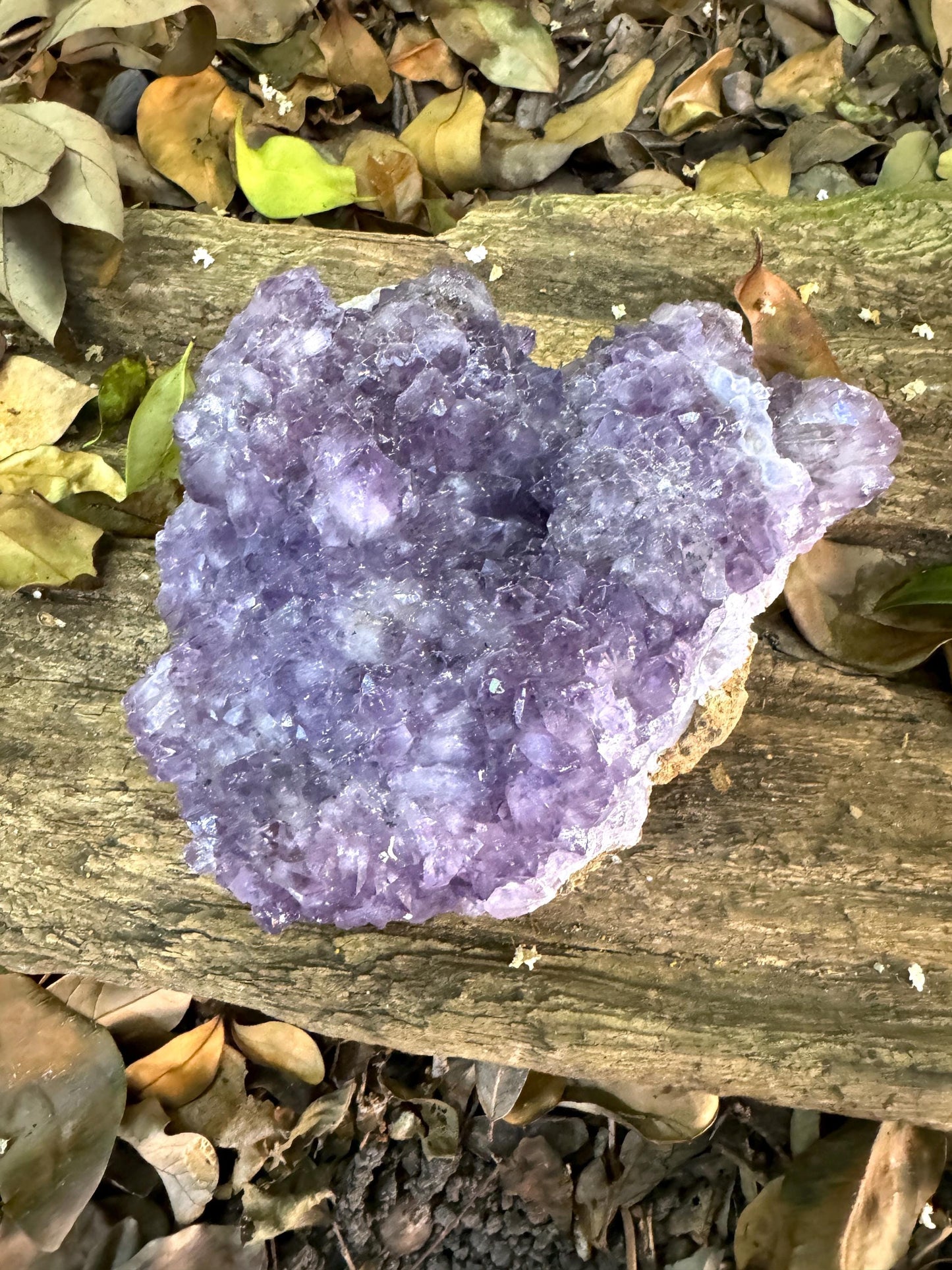 Beautiful Purple Amethyst Cluster Specimen 1.2kg 2lbs 10.6oz from Brazil Mineral Crystal