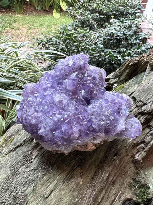 Beautiful Purple Amethyst Cluster Specimen 1.2kg 2lbs 10.6oz from Brazil Mineral Crystal