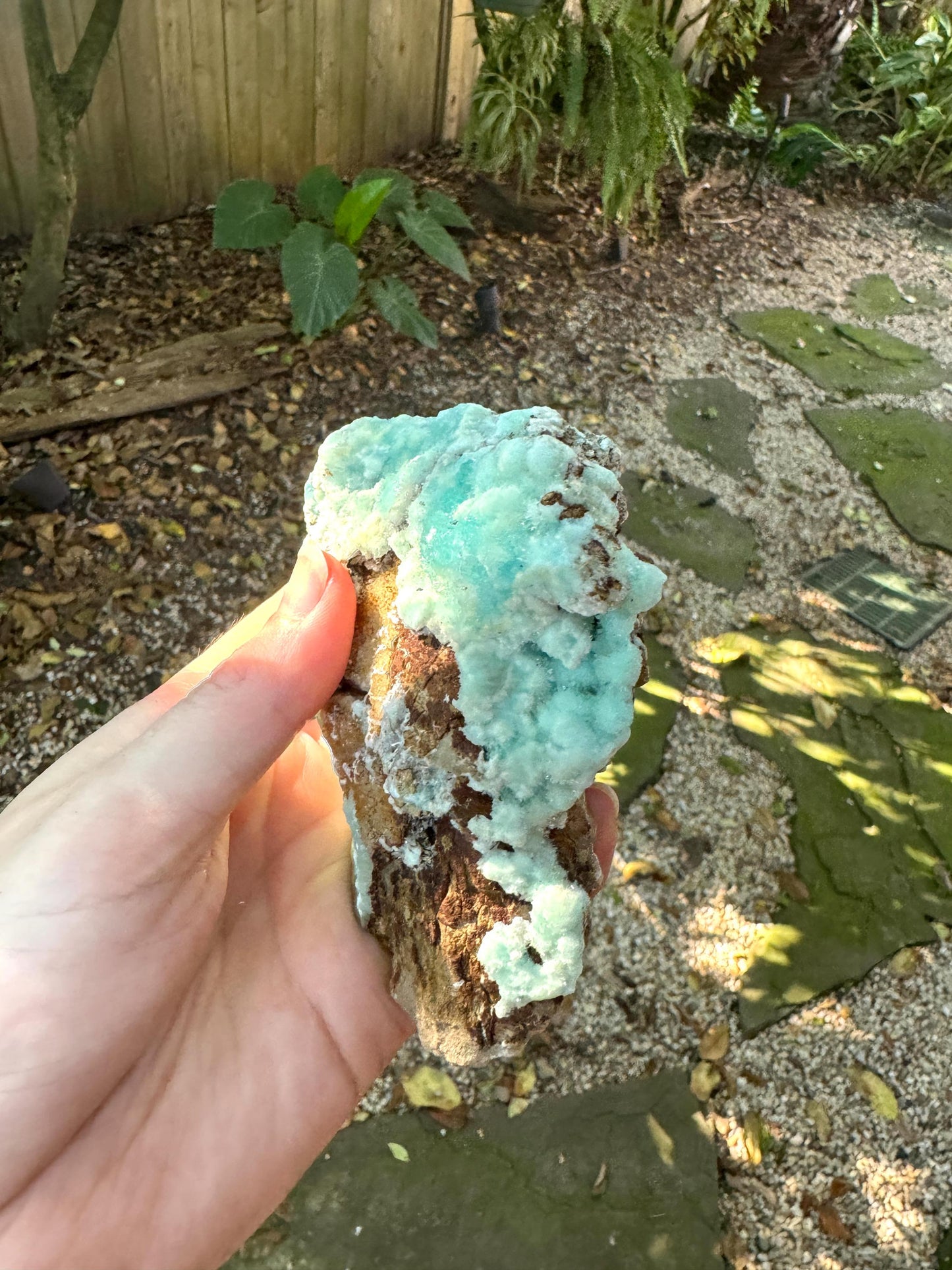 Raw Blue Aragonite Specimen From Afghanistan 283.9g Crystal Mineral