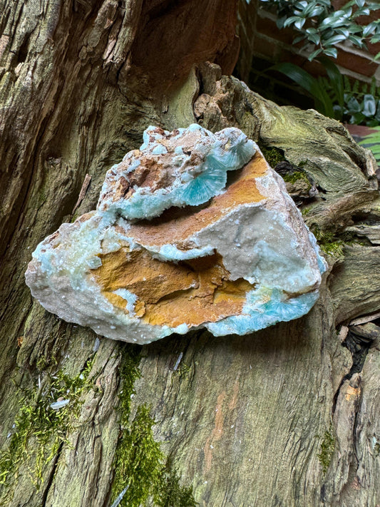Raw Blue Aragonite Specimen From Afghanistan 283.9g Crystal Mineral