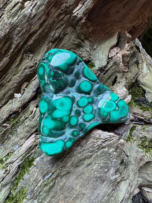 Lovely Polished Malachite Specimen from The Congo 167.2g Mineral Crystal