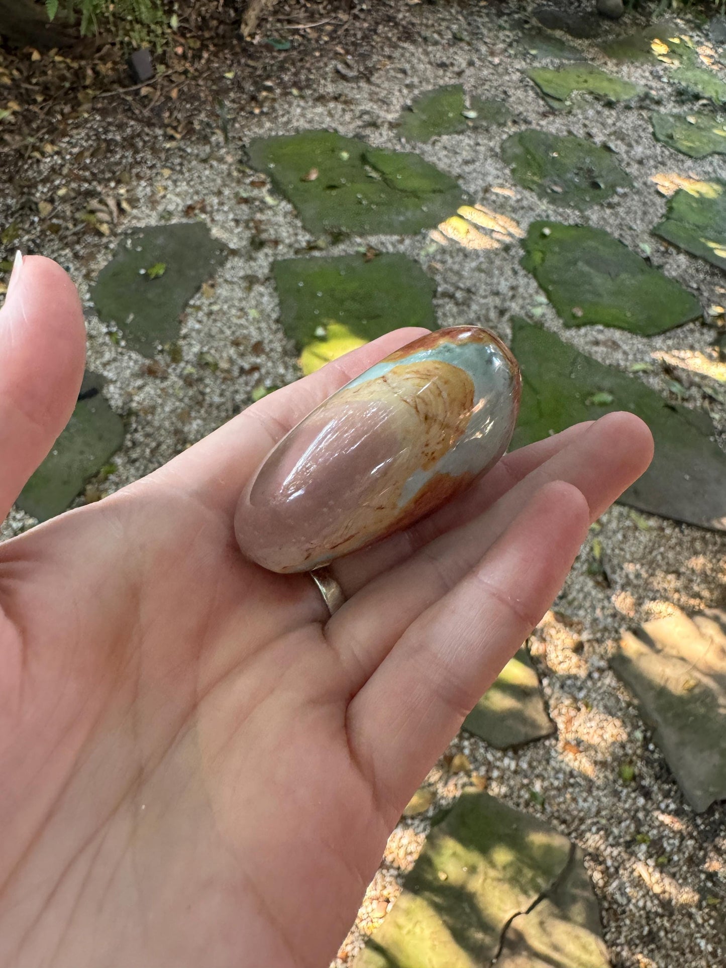 Polychrome Jasper Palm Stone/Gallete 125.2g Beautiful Color variations Specimen Minerals Crystals