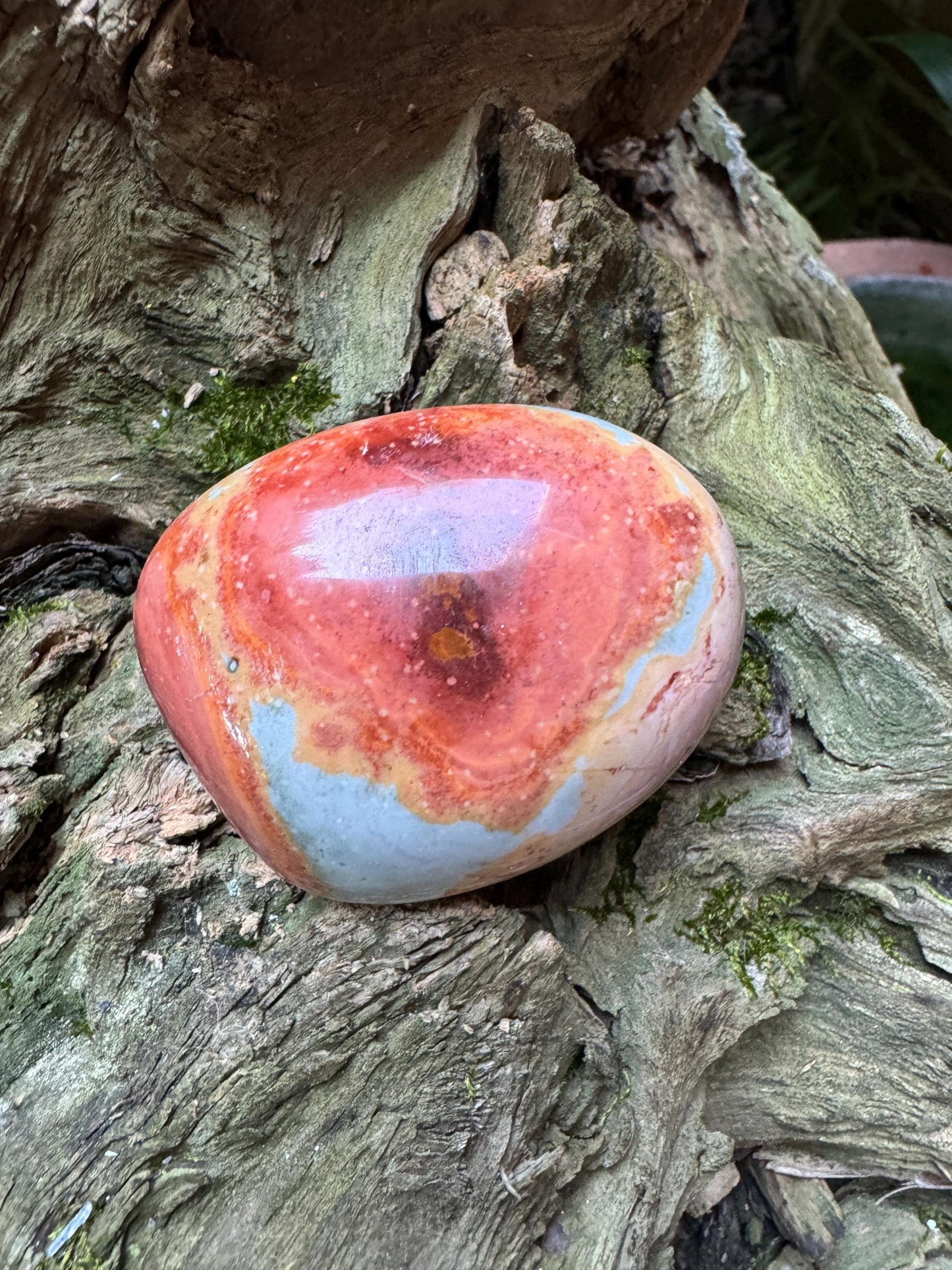 Polychrome Jasper Palm Stone/Gallete 125.2g Beautiful Color variations Specimen Minerals Crystals