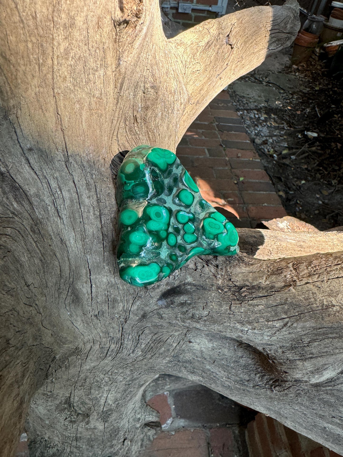 Lovely Polished Malachite Specimen from The Congo 167.2g Mineral Crystal