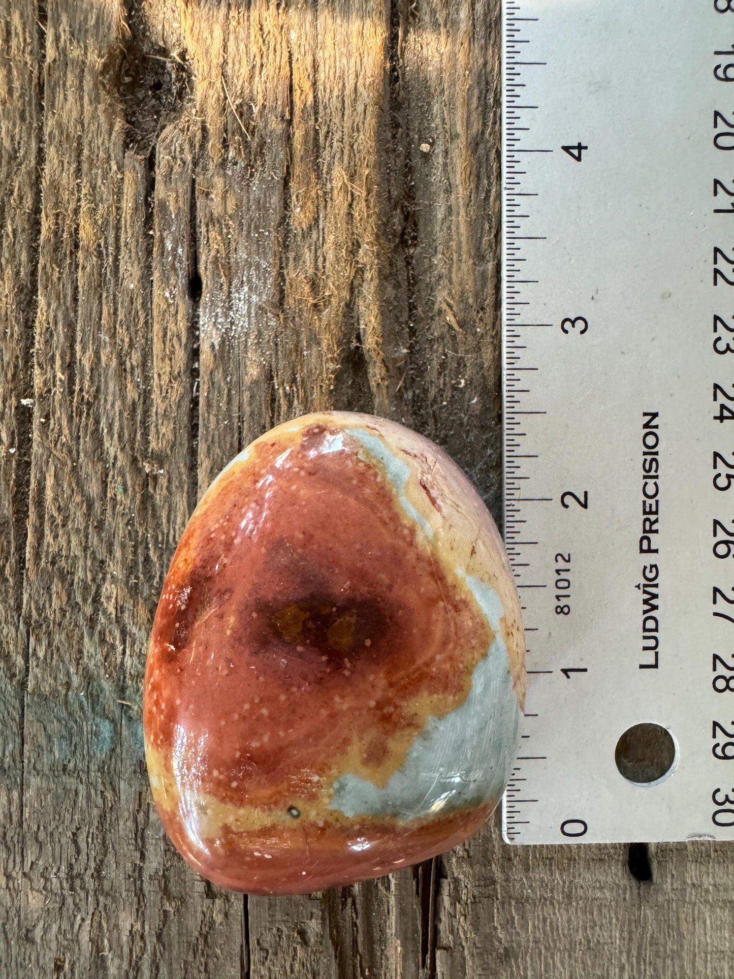 Polychrome Jasper Palm Stone/Gallete 125.2g Beautiful Color variations Specimen Minerals Crystals