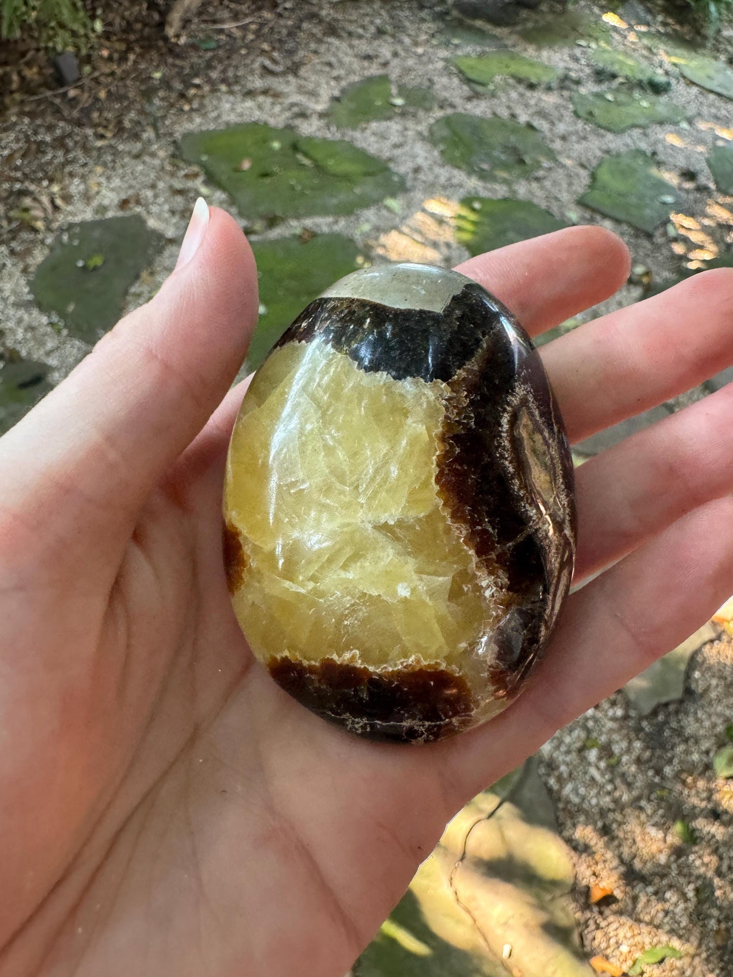 Lovely Septarian Calcite Palm Stone Madagascar 140.2g Specimen Mineral Crystal
