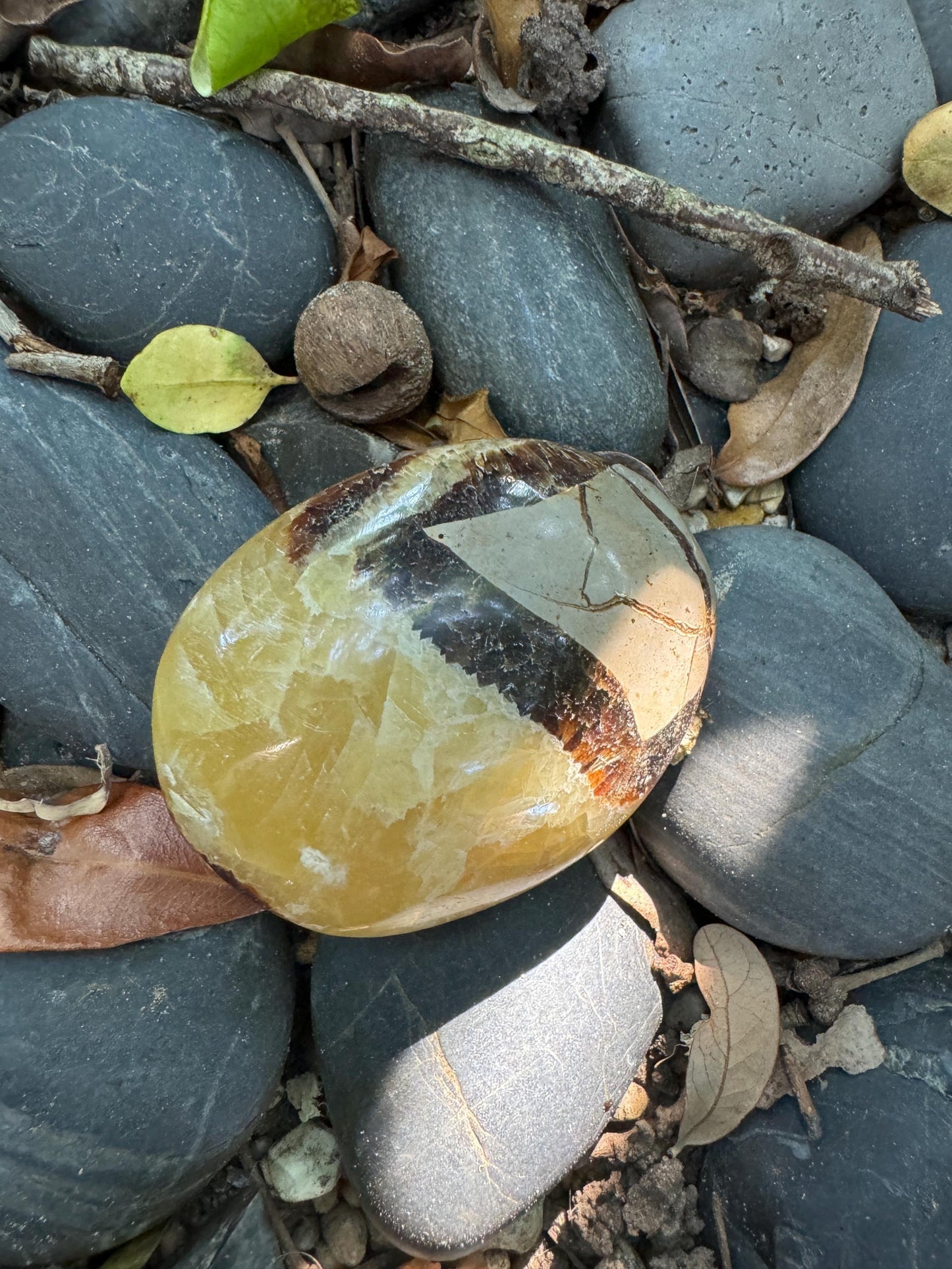 Lovely Septarian Calcite Palm Stone Madagascar 140.2g Specimen Mineral Crystal