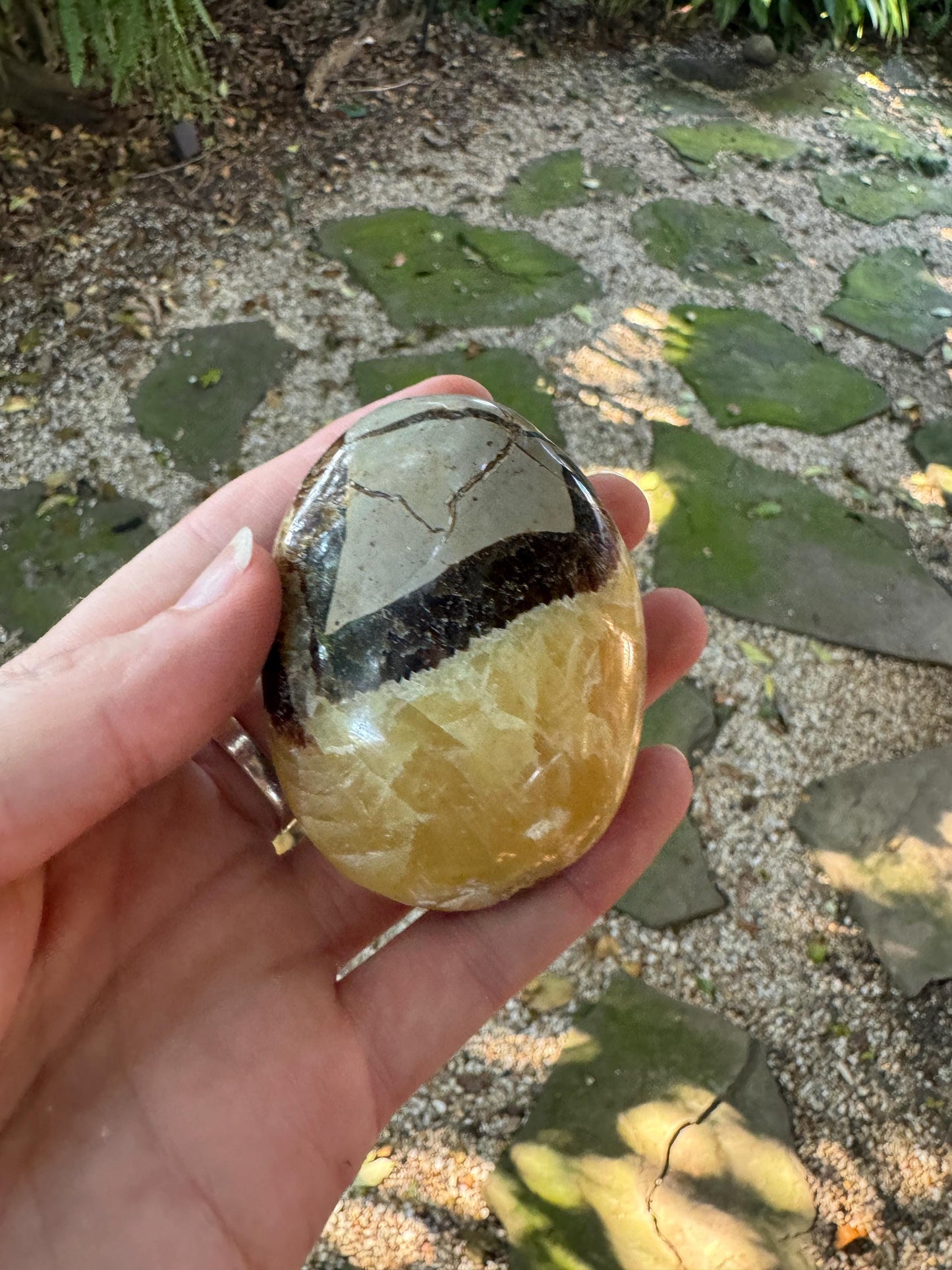 Lovely Septarian Calcite Palm Stone Madagascar 140.2g Specimen Mineral Crystal