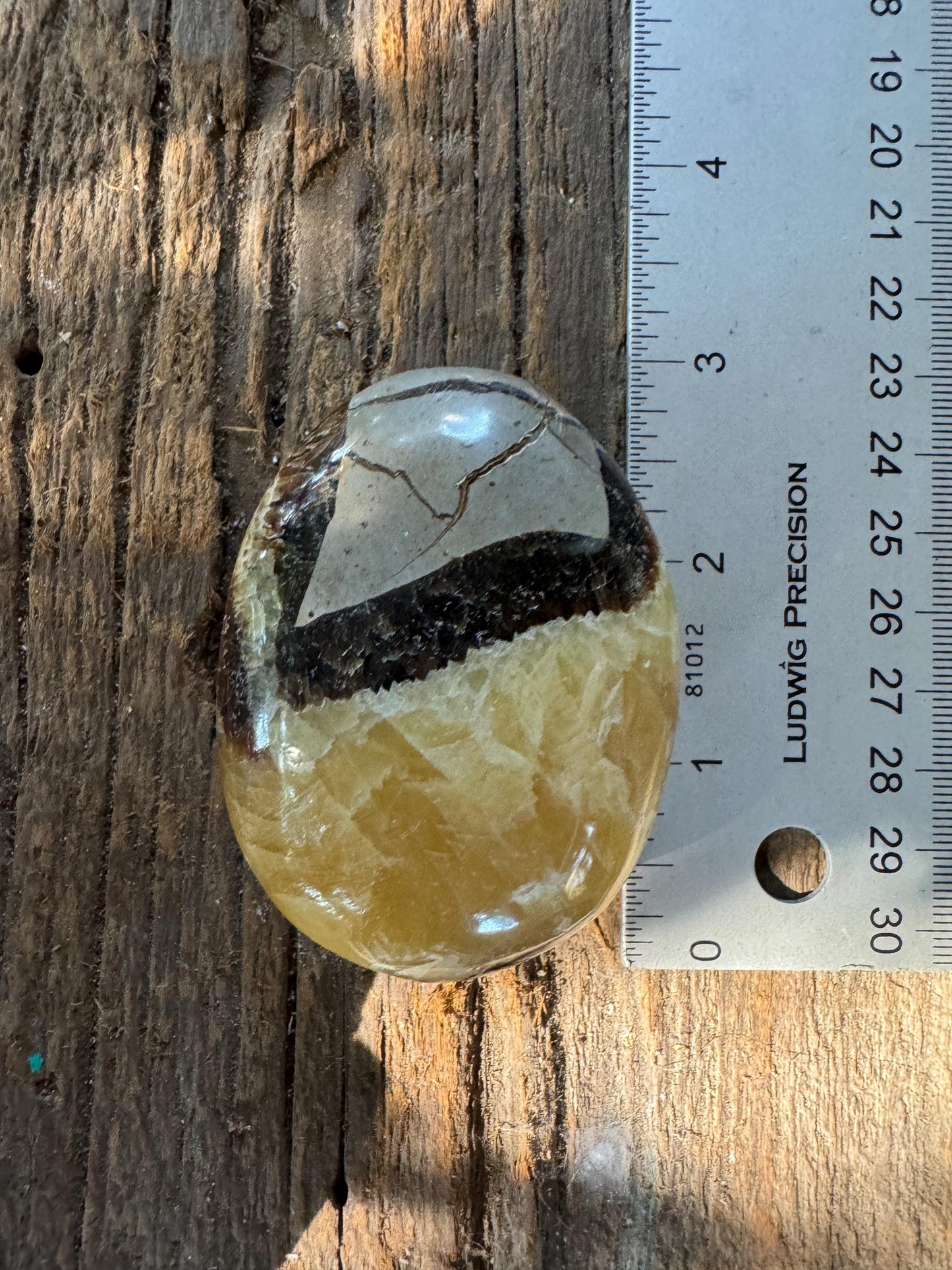 Lovely Septarian Calcite Palm Stone Madagascar 140.2g Specimen Mineral Crystal