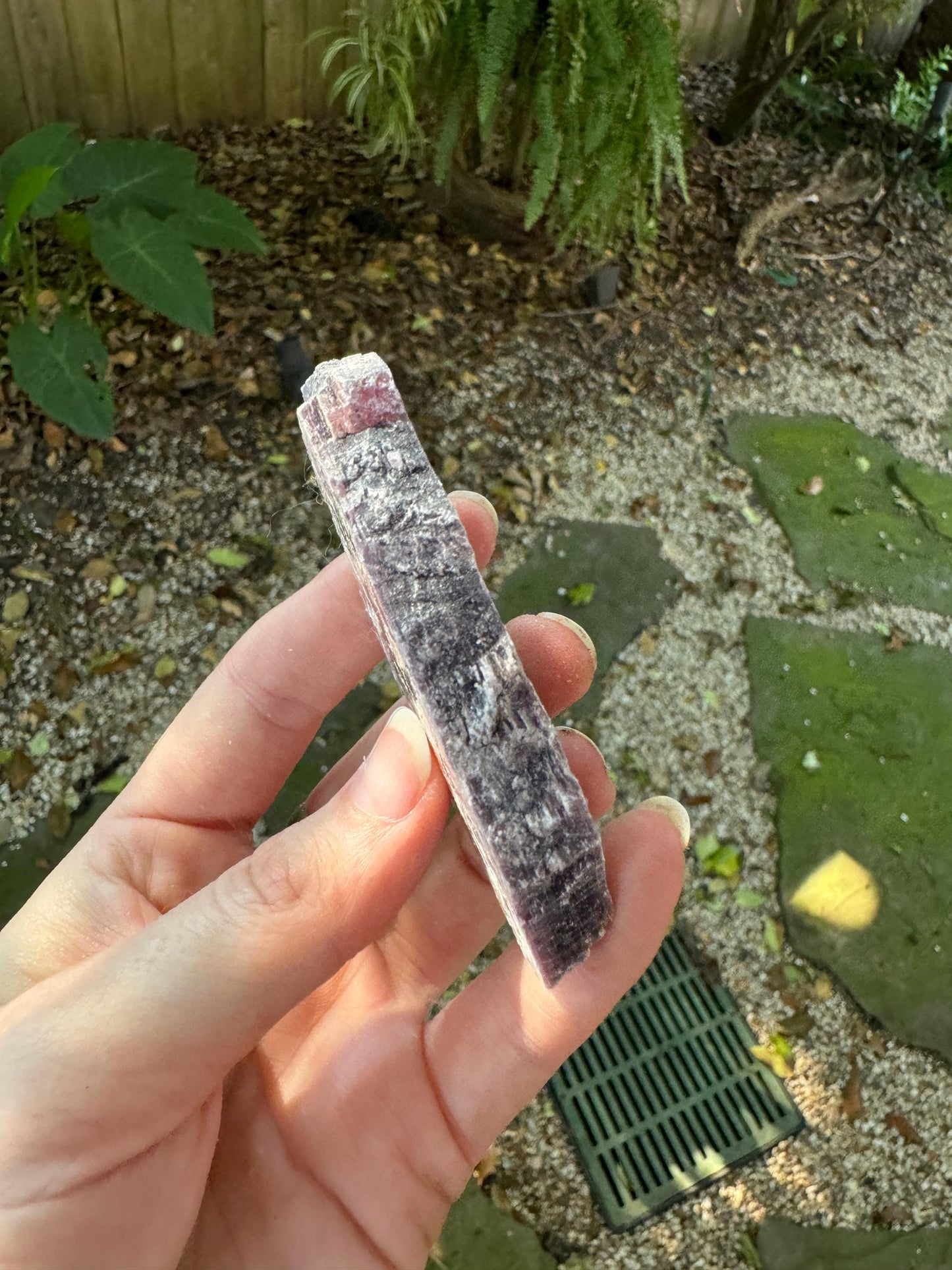 Beautiful Raw Lepidolite Specimen From Minas Gerais Brazil 47.8g Lithium Mineral Crystal