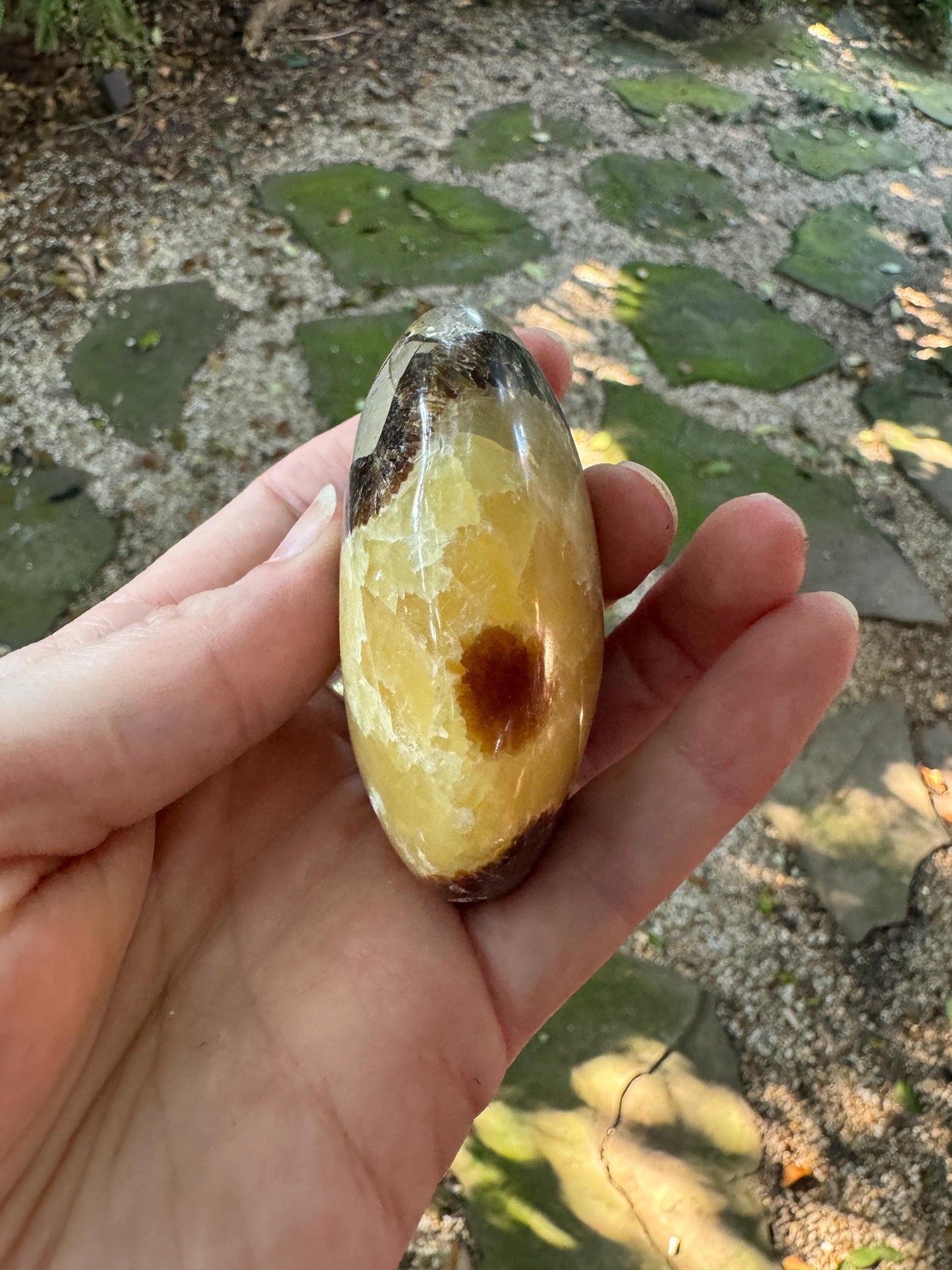 Lovely Septarian Calcite Palm Stone Madagascar 140.2g Specimen Mineral Crystal