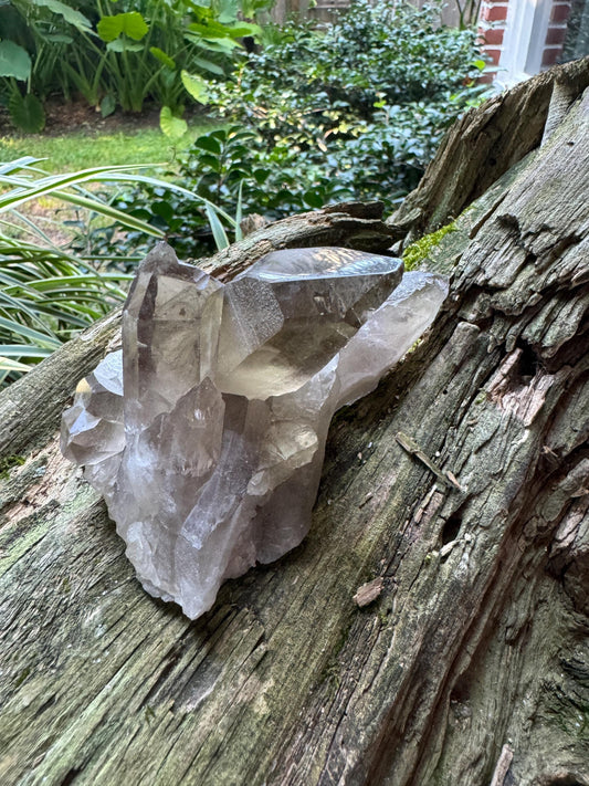 Smokey Quartz Cluster Specimen Polished Main Tip, Minas Gerias, Brazil. 282g, Specimen Mineral
