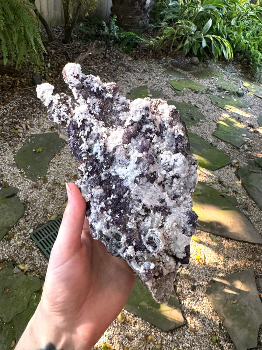 Purple Fluorite and Selenite Specimen from, Chihuahna, Mexico 1314g 2lbs 14.4oz Specimen Mineral Crystal