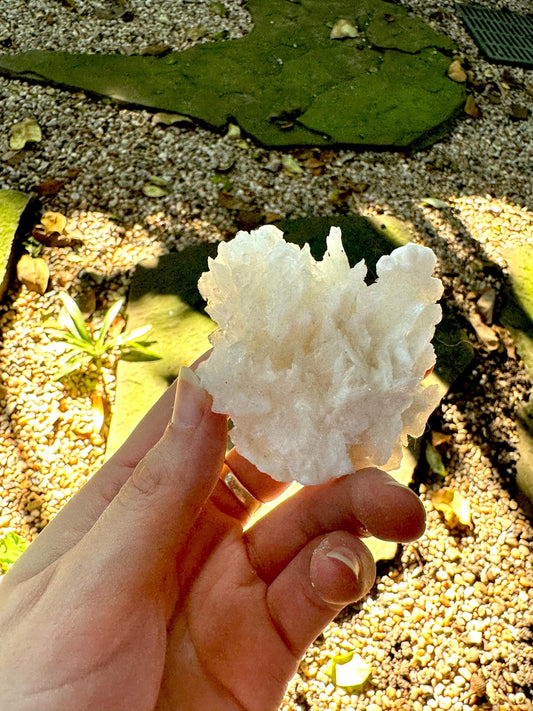 Aragonite Cave Calcite From Mexico 79.6g Specimen Crystals Minerals
