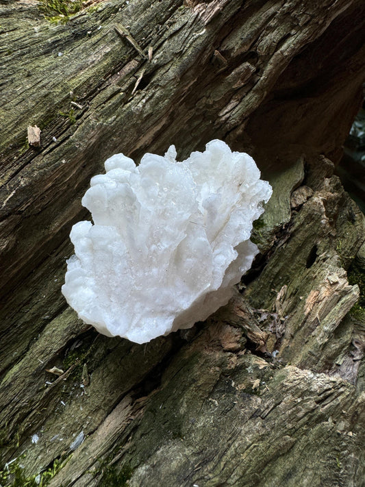 Aragonite Cave Calcite From Mexico 79.6g Specimen Crystals Minerals