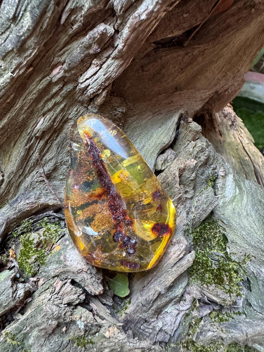 Polished Mexican Blue Amber Specimen from Chiapas Mexico 33.4g Mineral Crystal Fossil