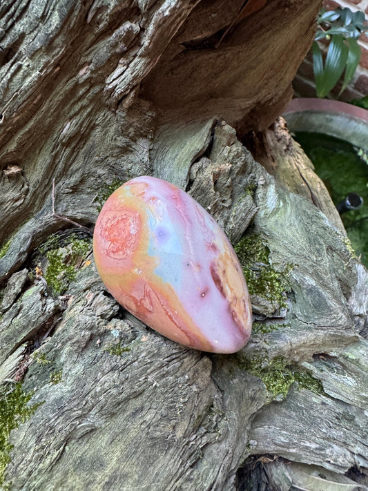 Polychrome Jasper Palm Stone: Madagascar Specimen, 166.8g Mineral