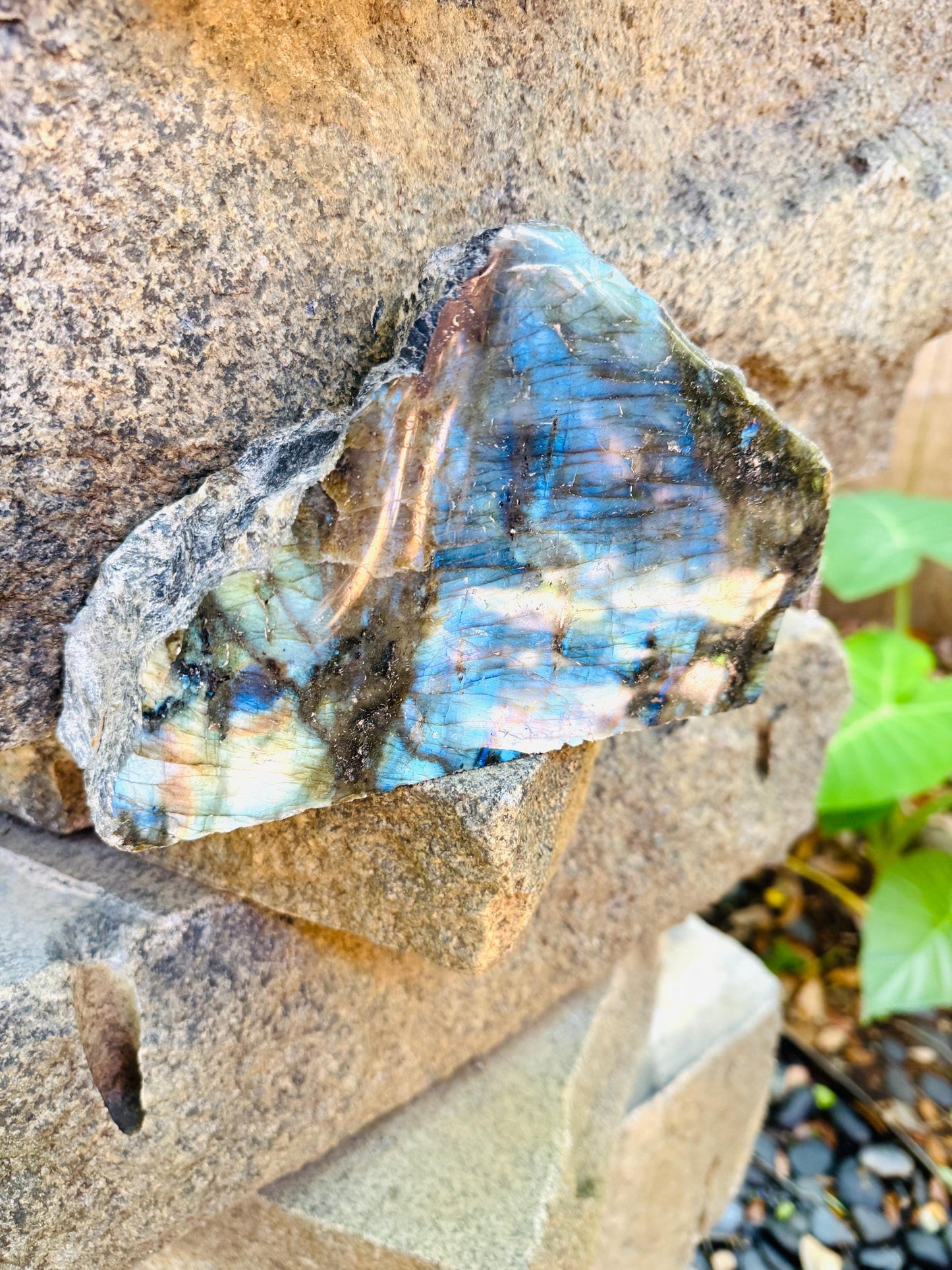 Half Polished Polished Rainbow Labradorite Free Form 1870g 4lbs 2oz From Madagascar