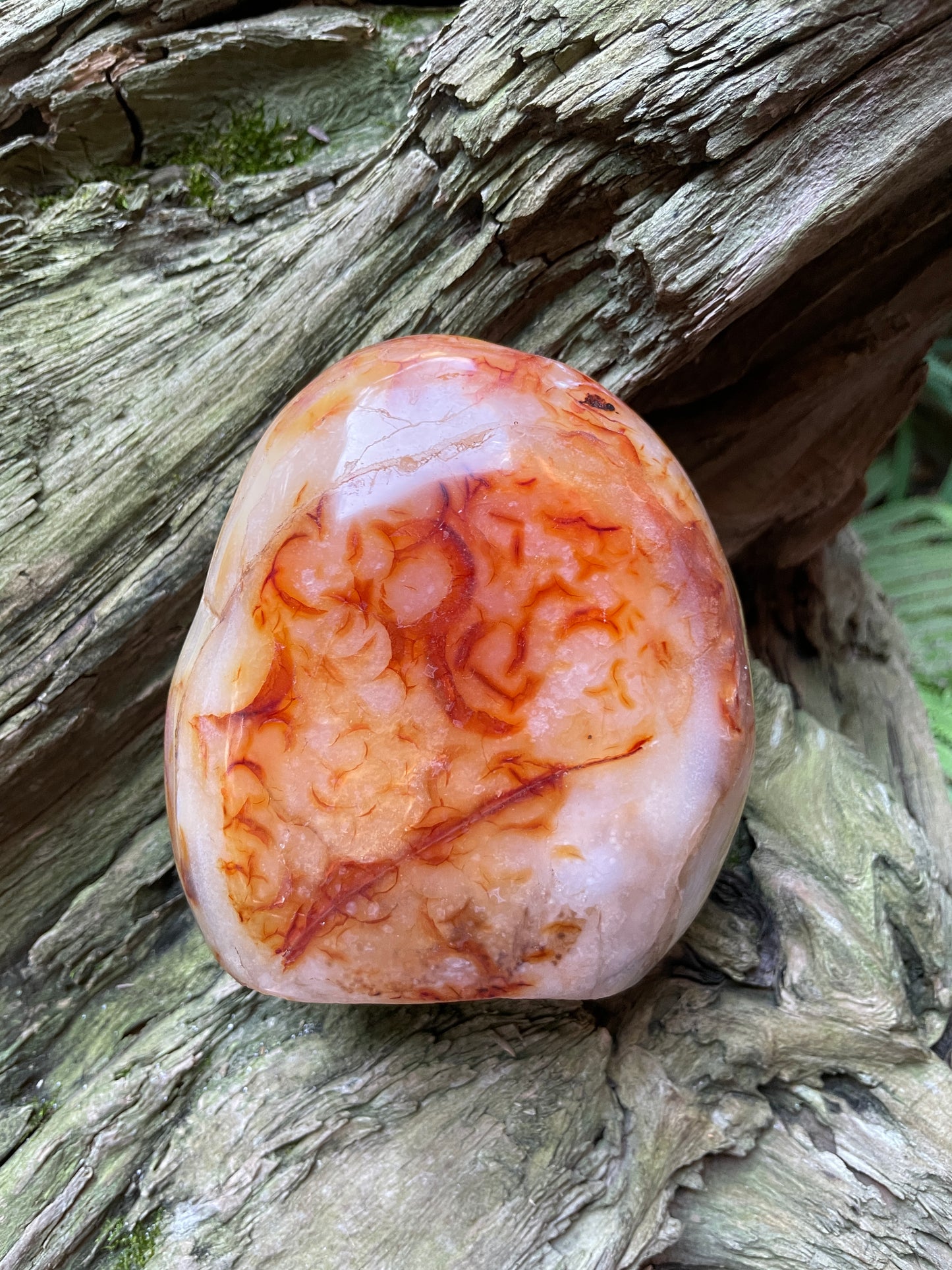 Carnelian Free Form Specimen 1066g 2lbs 5.6oz From Madagascar Specimen Crystal