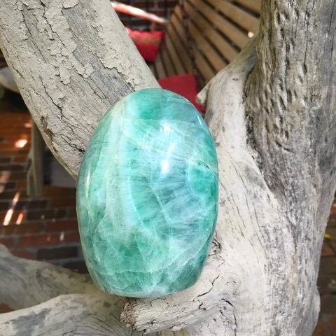 Polished Green Fluorite Free Form Display From Madagascar 565g