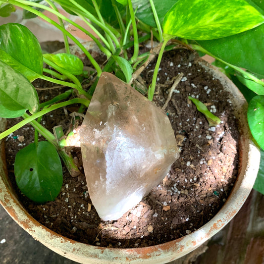 Brazilian Smokey Quartz Point 350g Specimen With Chlorite