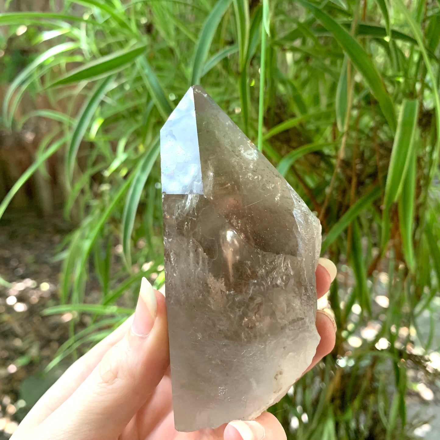 Brazilian Smokey Quartz Point 350g Specimen With Chlorite