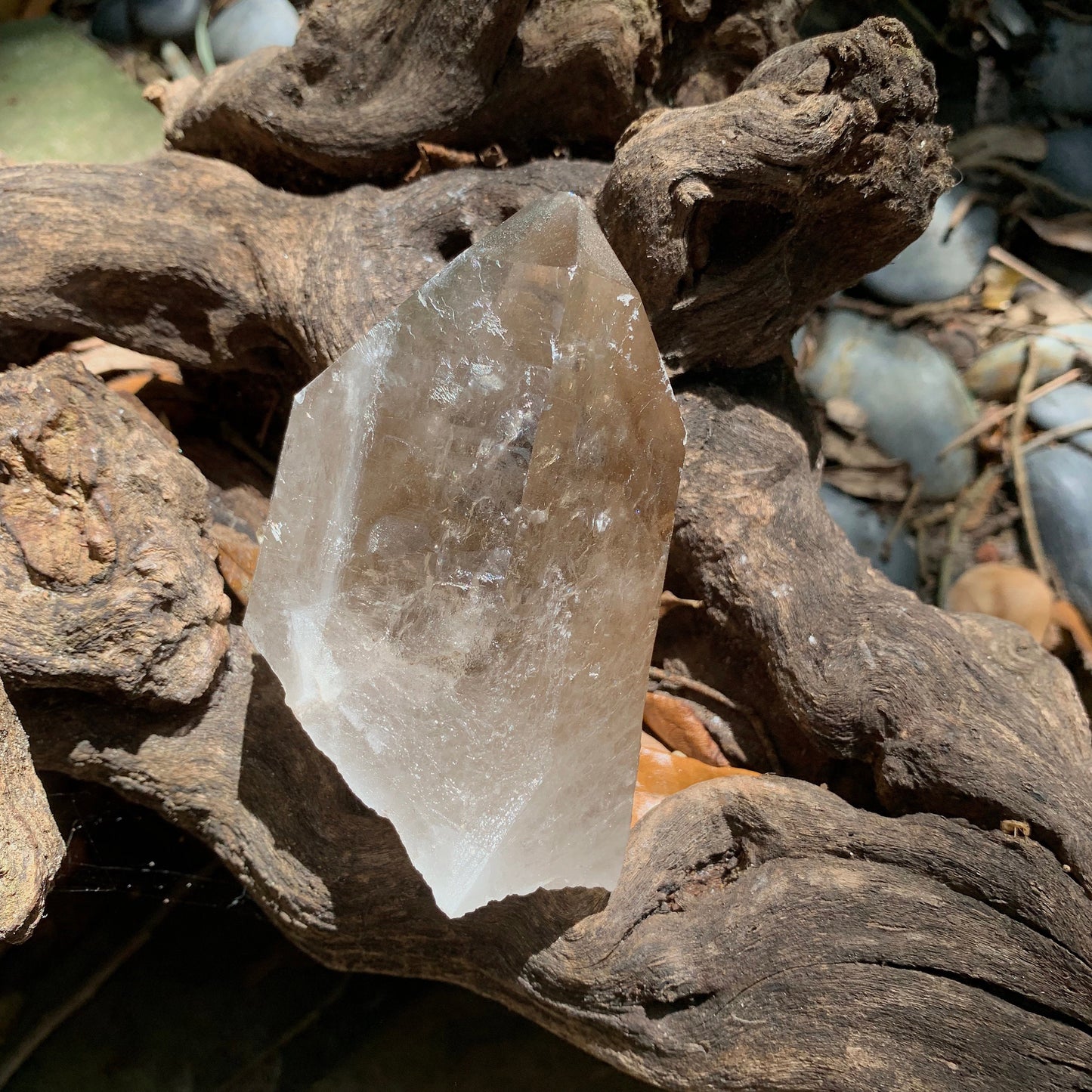 Brazilian Smokey Quartz Point 350g Specimen With Chlorite