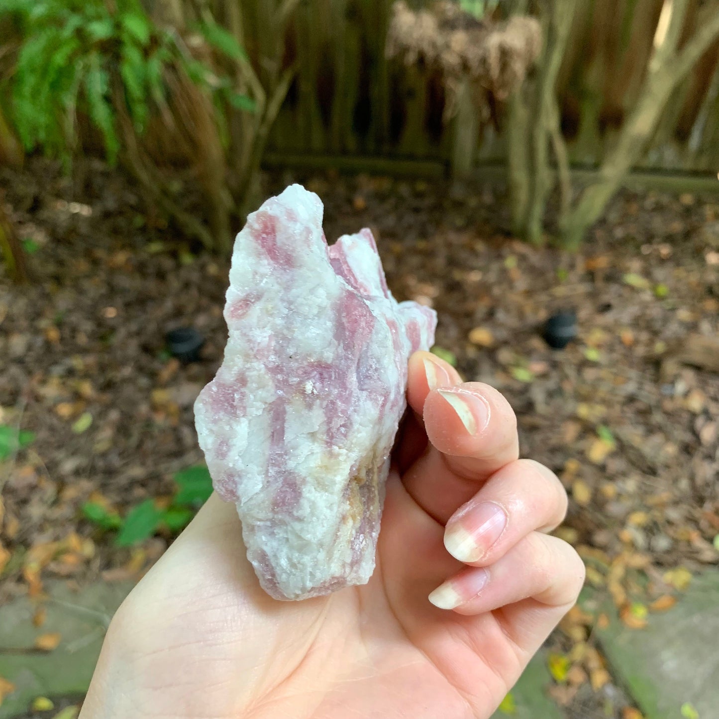 Rubellite/ Pink Tourmaline with Quartz with Lepidolite 232.5g From Minas Gerais Brazil Specimen