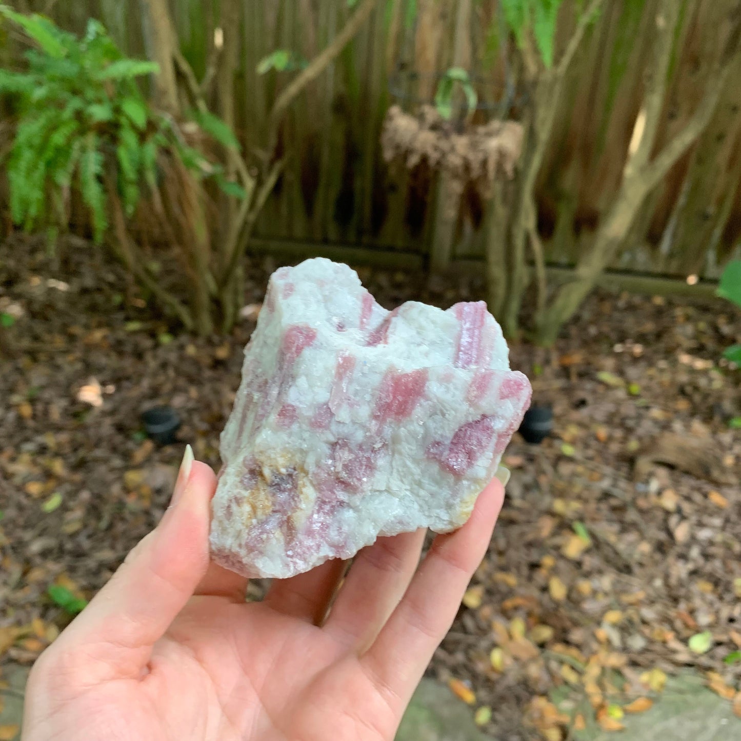 Rubellite/ Pink Tourmaline with Quartz with Lepidolite 232.5g From Minas Gerais Brazil Specimen