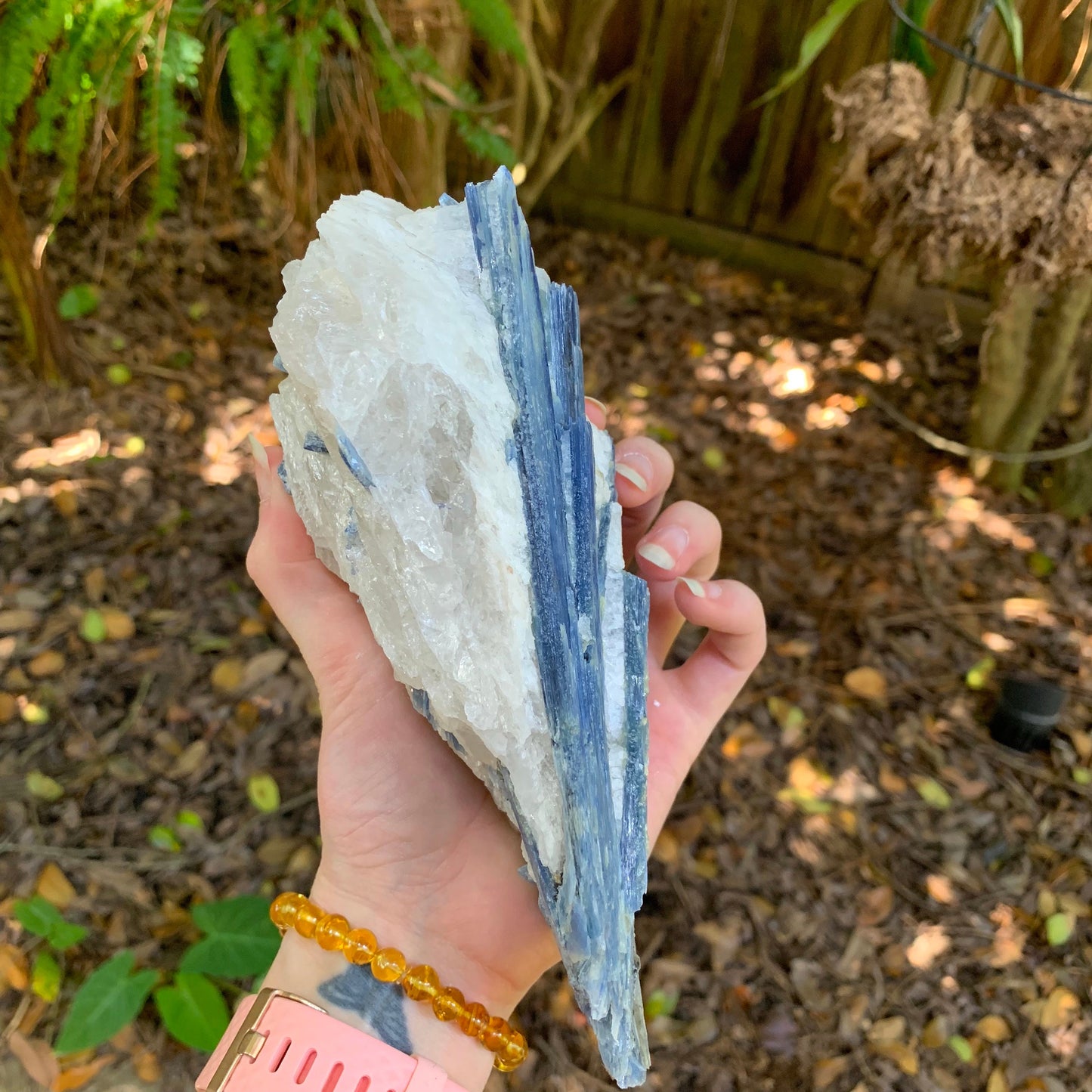 Beautiful Blue Kyanite With Quartz 1250g From Minas Gerais Brazil Specimen