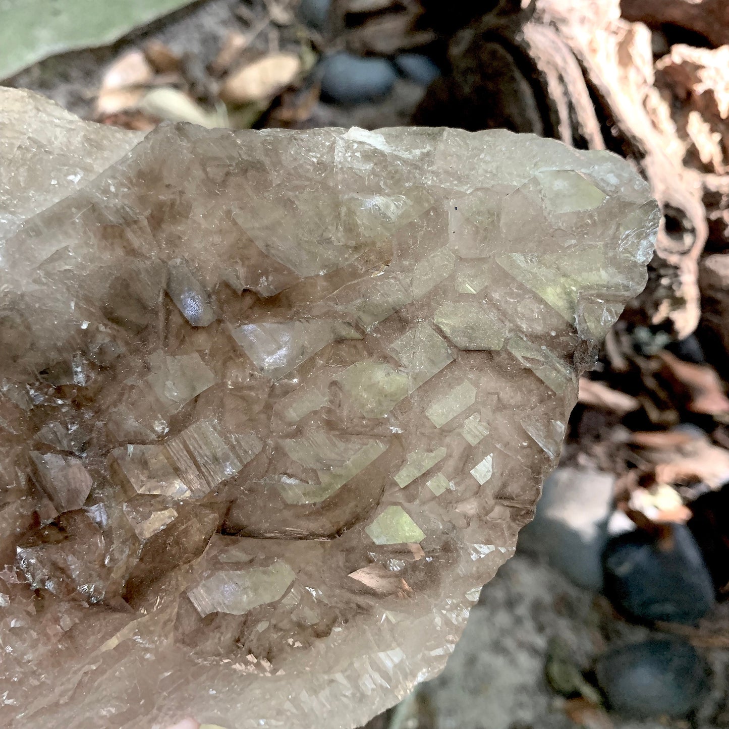 Smokey Elesital Quartz from Minas Gerais Brazil, 780g Specimen Collection Reiki