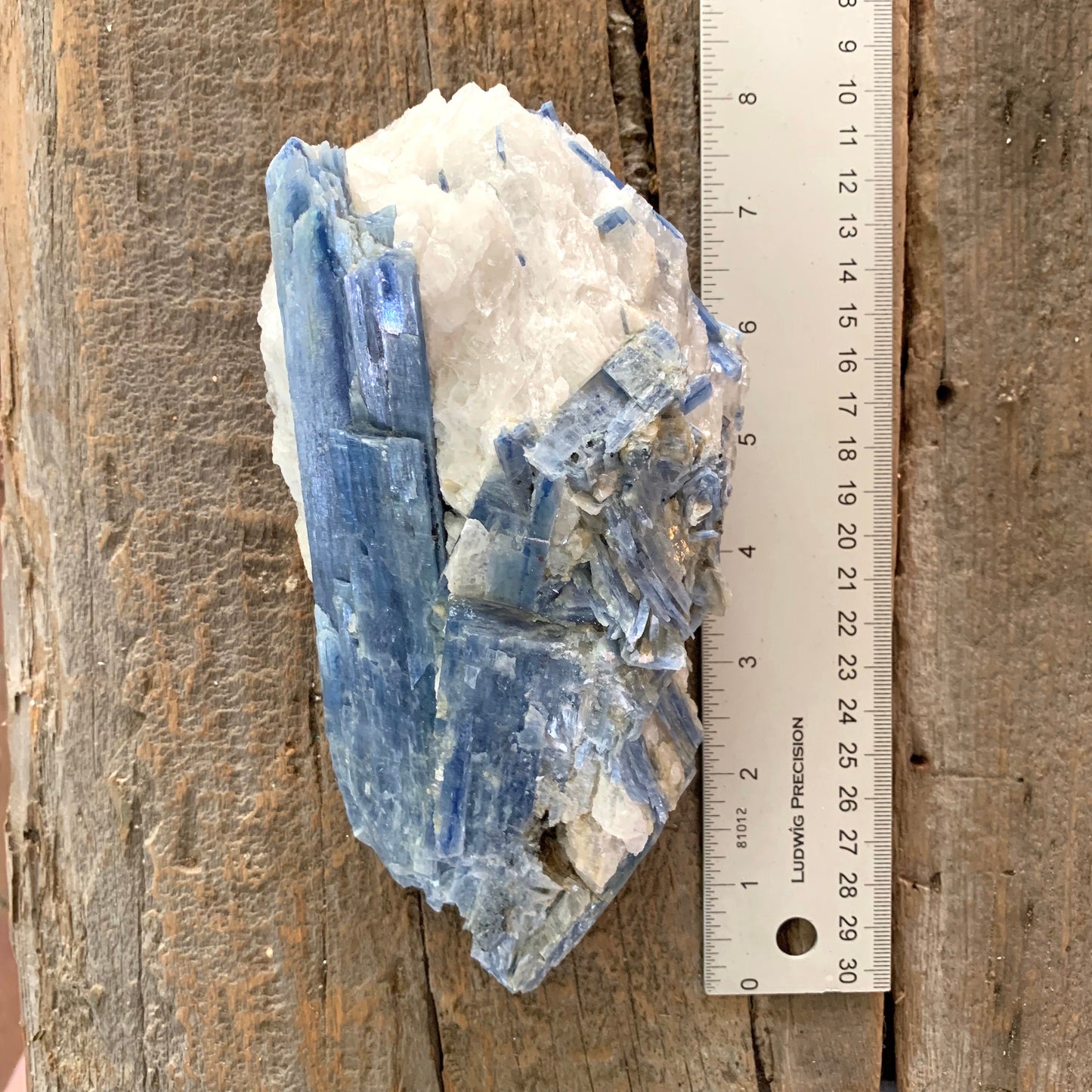 Beautiful Blue Kyanite With Quartz 1250g From Minas Gerais Brazil Specimen