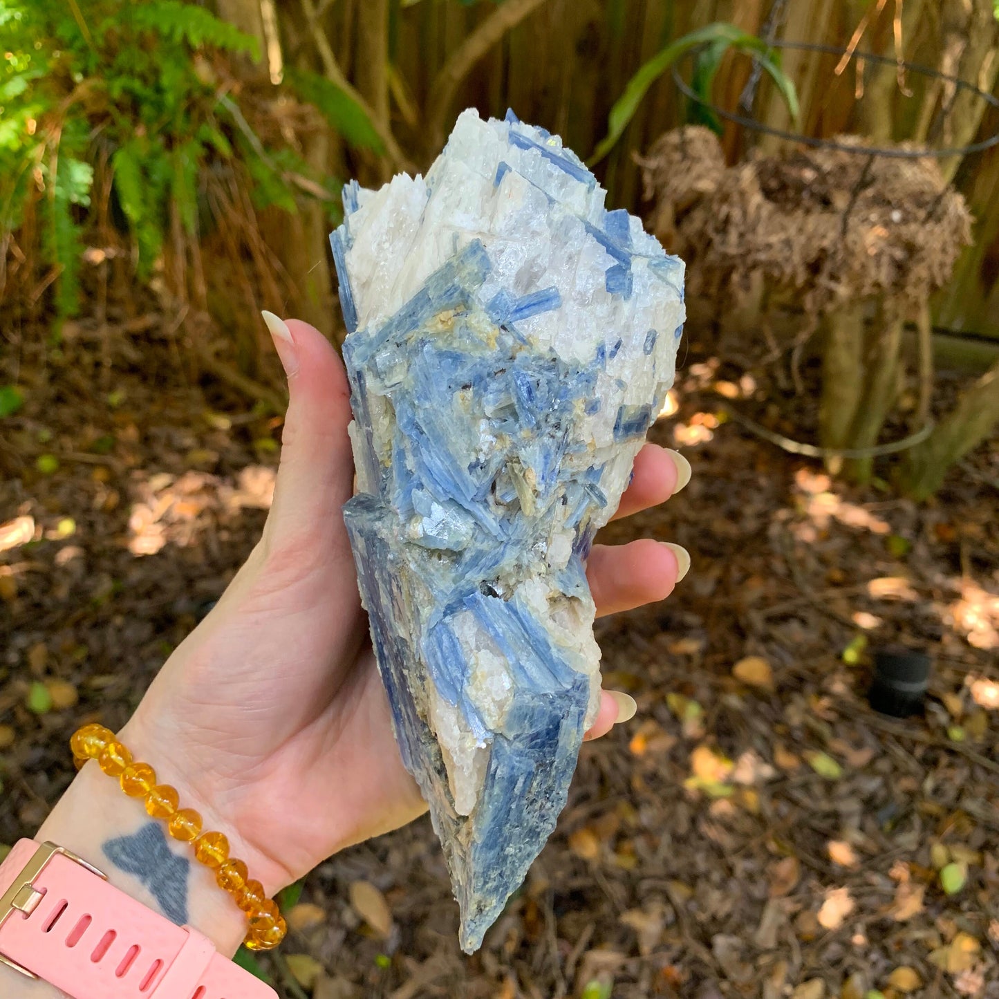 Beautiful Blue Kyanite With Quartz 1250g From Minas Gerais Brazil Specimen