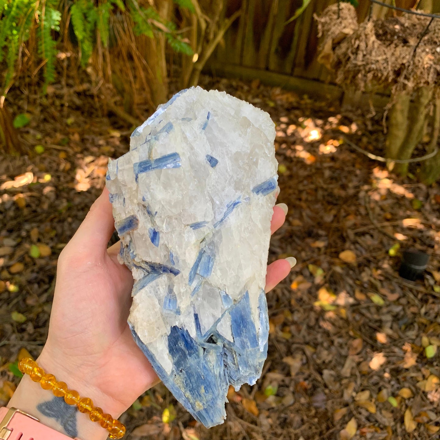 Beautiful Blue Kyanite With Quartz 1250g From Minas Gerais Brazil Specimen