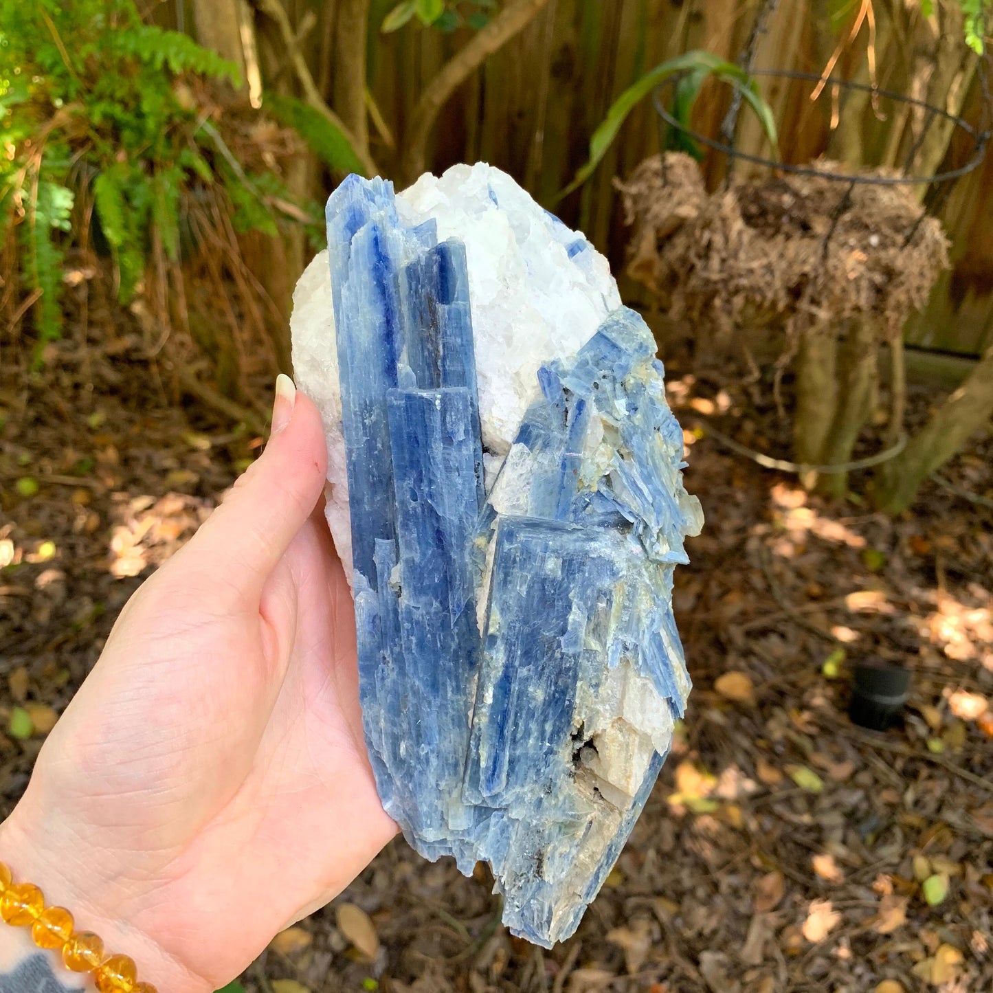 Beautiful Blue Kyanite With Quartz 1250g From Minas Gerais Brazil Specimen