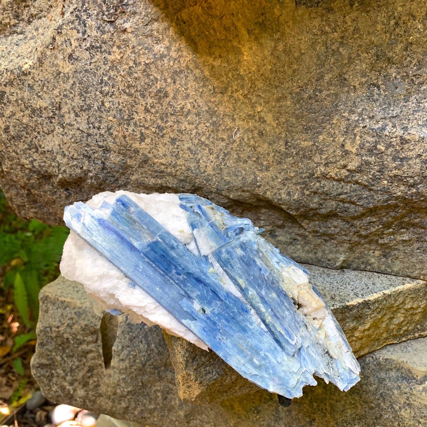 Beautiful Blue Kyanite With Quartz 1250g From Minas Gerais Brazil Specimen