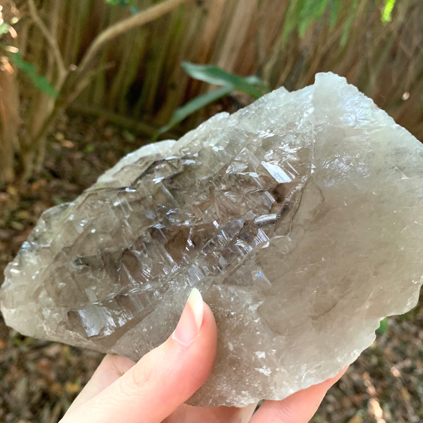 Smokey Elesital Quartz from Minas Gerais Brazil, 780g Specimen Collection Reiki