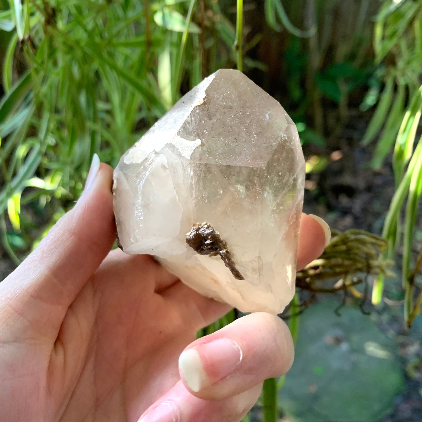 Beautiful Brazilian Quartz Point with Mica and a Phantom 215g From Minas Gerais Brazil
