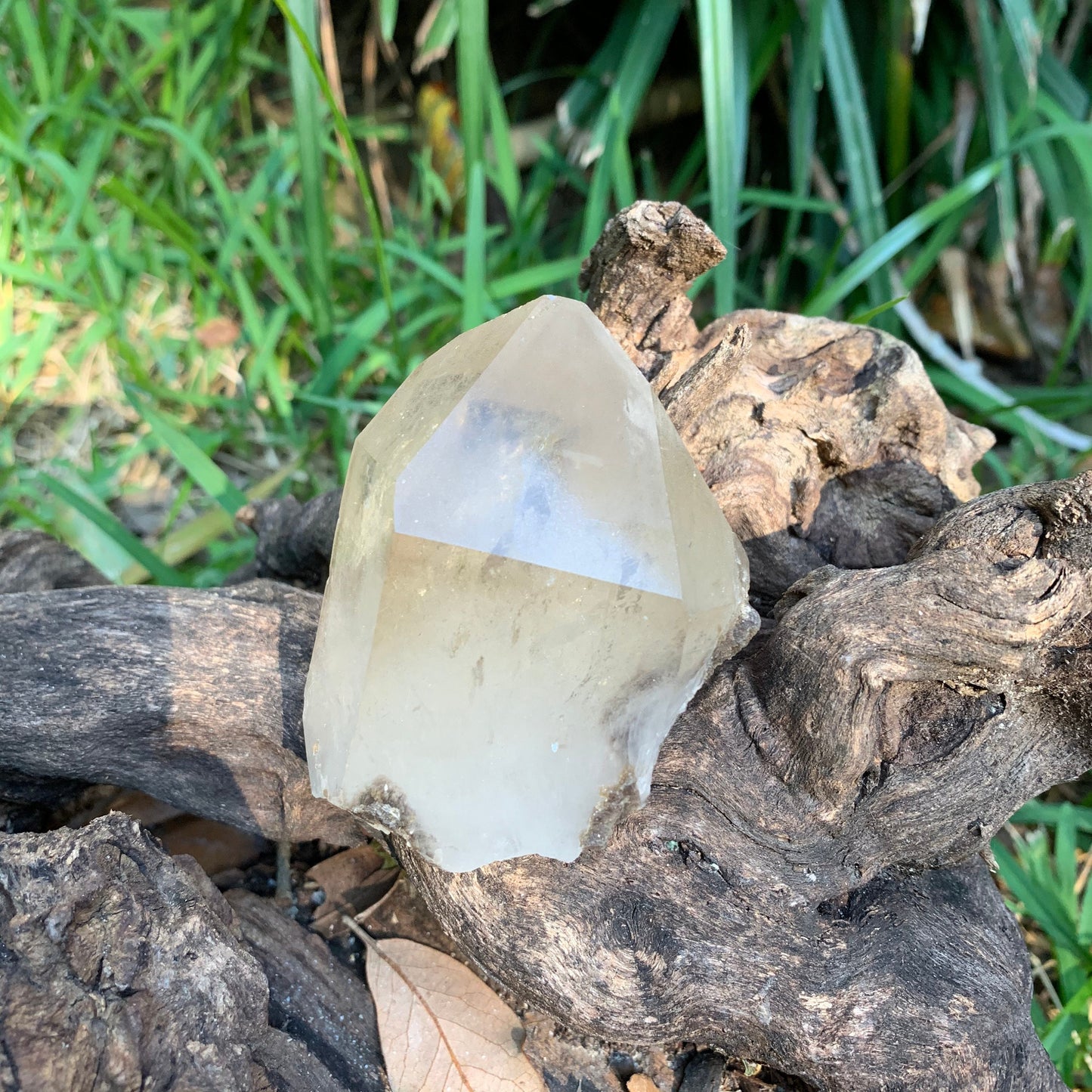 Beautiful Brazilian Quartz Point with Mica and a Phantom 215g From Minas Gerais Brazil