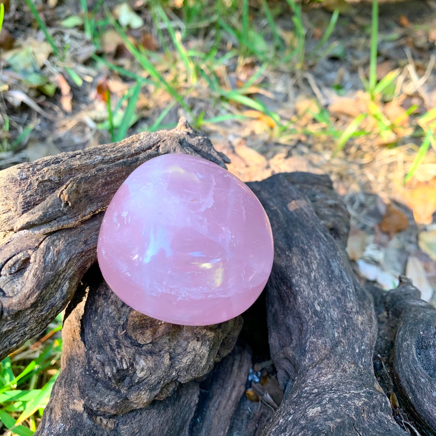 Polished Rose Quartz Palm Stone From Madagascar 137.2g Specimen