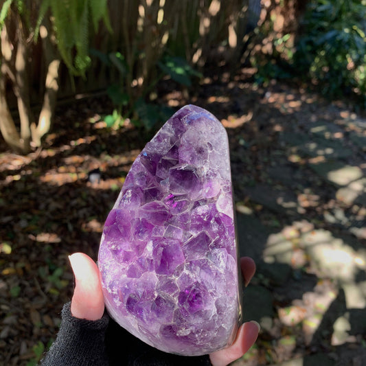 Half Polished Amethyst 990g 2lb 3oz Geode Specimen Brazil Reiki Chakra Healing